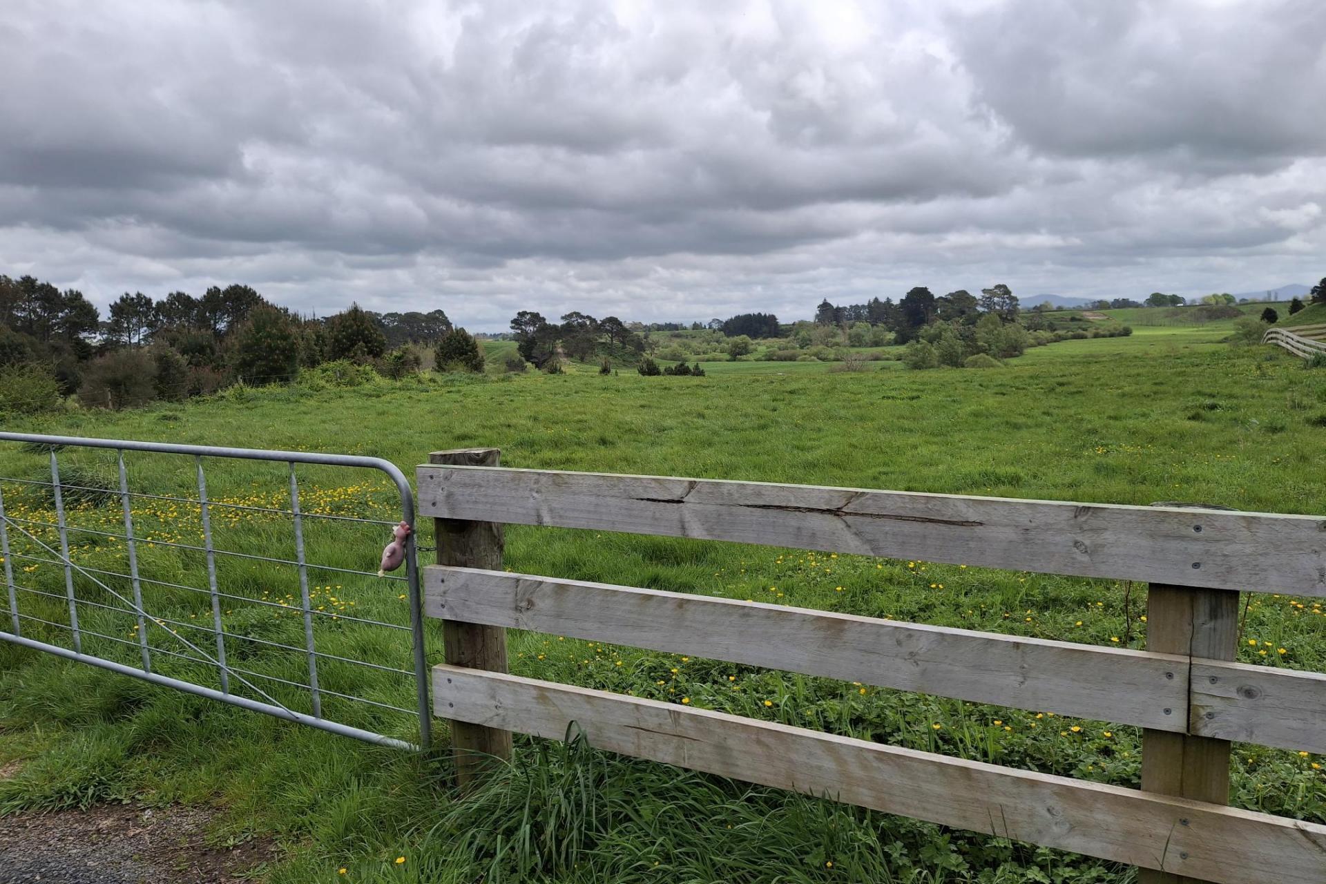 1559A Old Te Aroha Road, Te Aroha