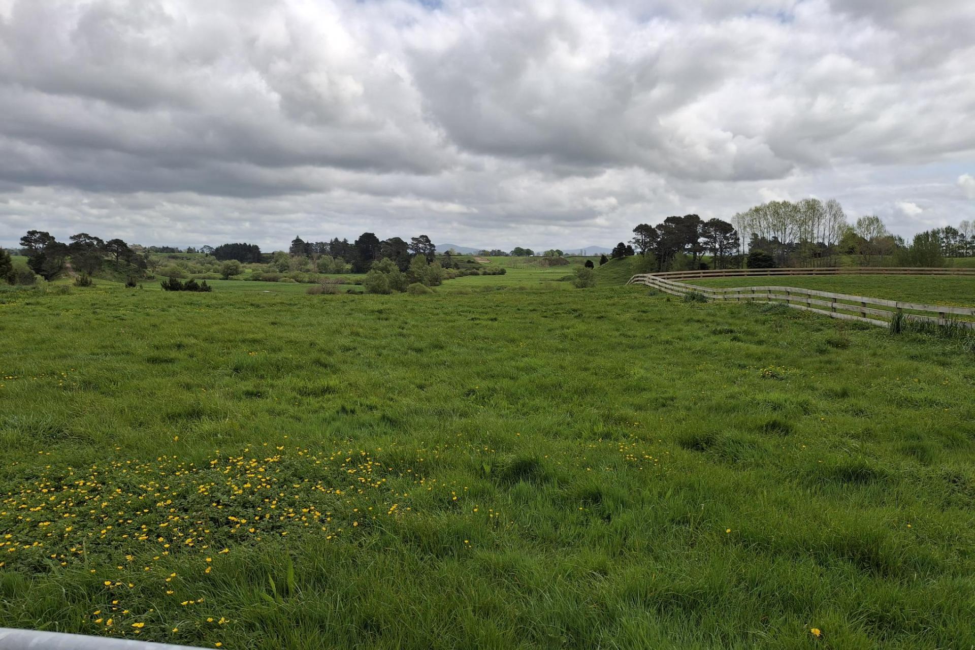 1559A Old Te Aroha Road, Te Aroha