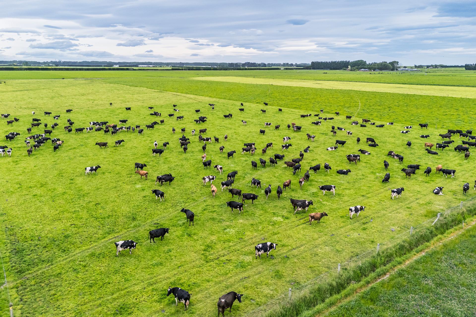 52 White Road, Milford