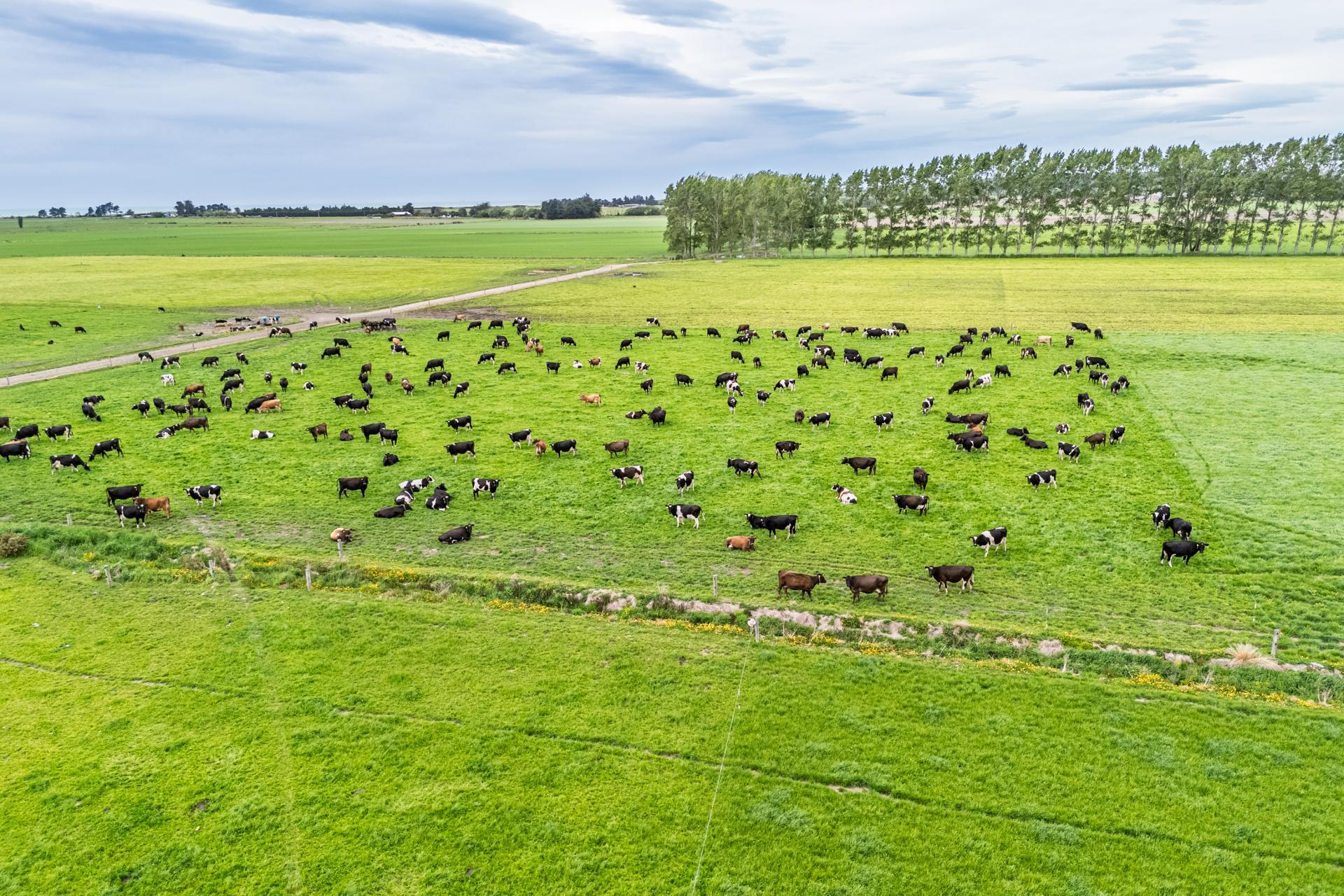 52 White Road, Milford