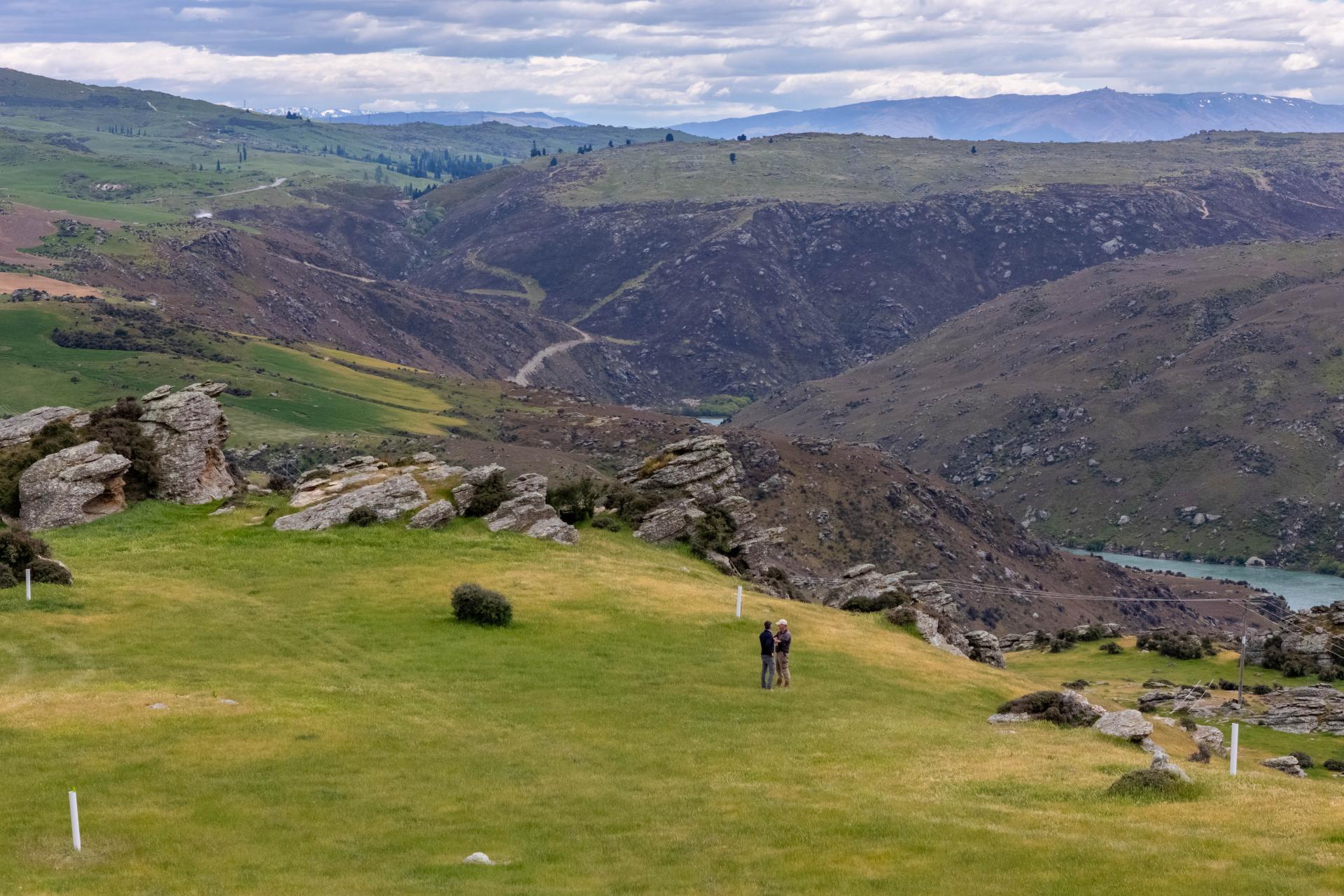 State Highway 8, Shingle Creek