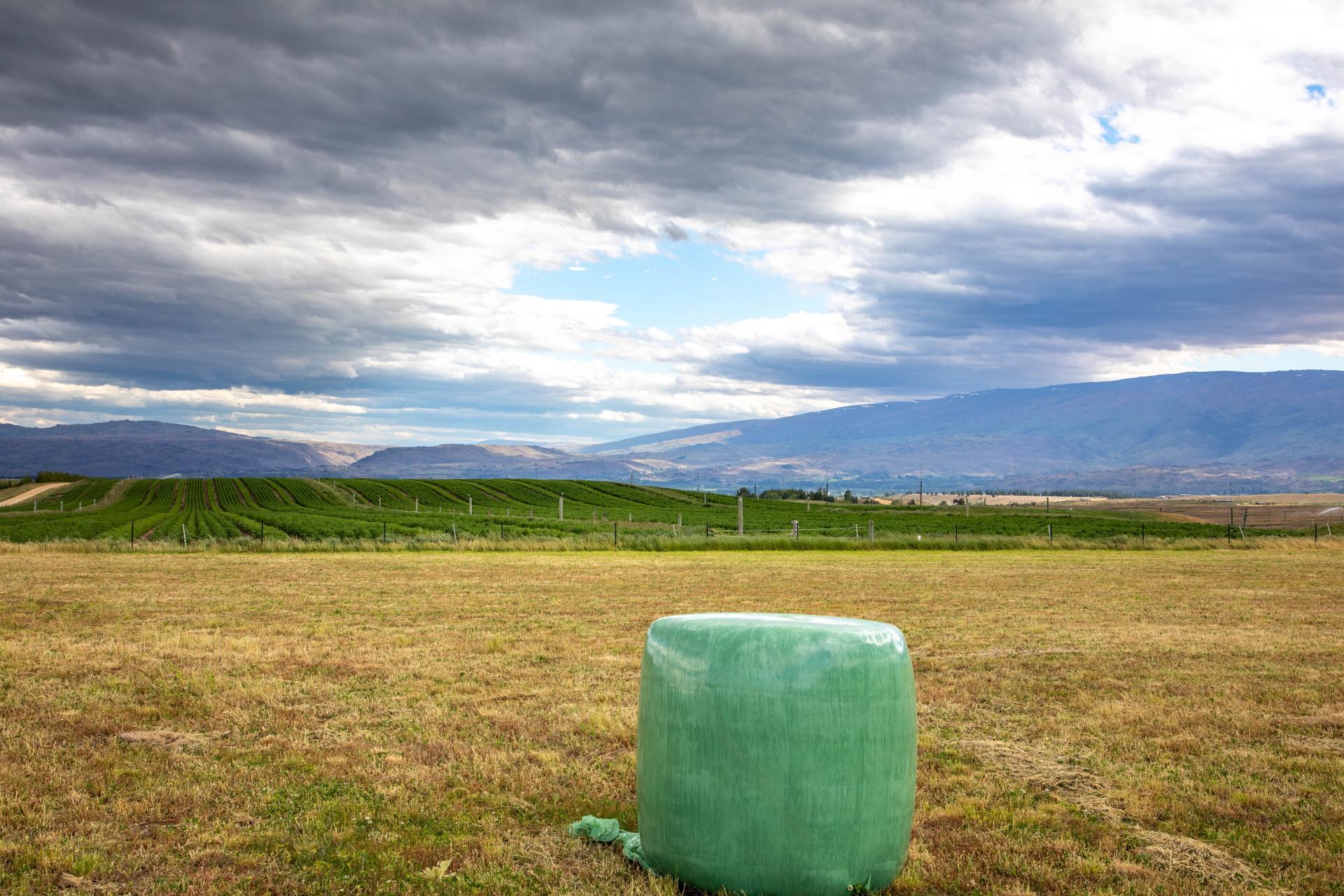 Lot 26, McArthur Road, Alexandra