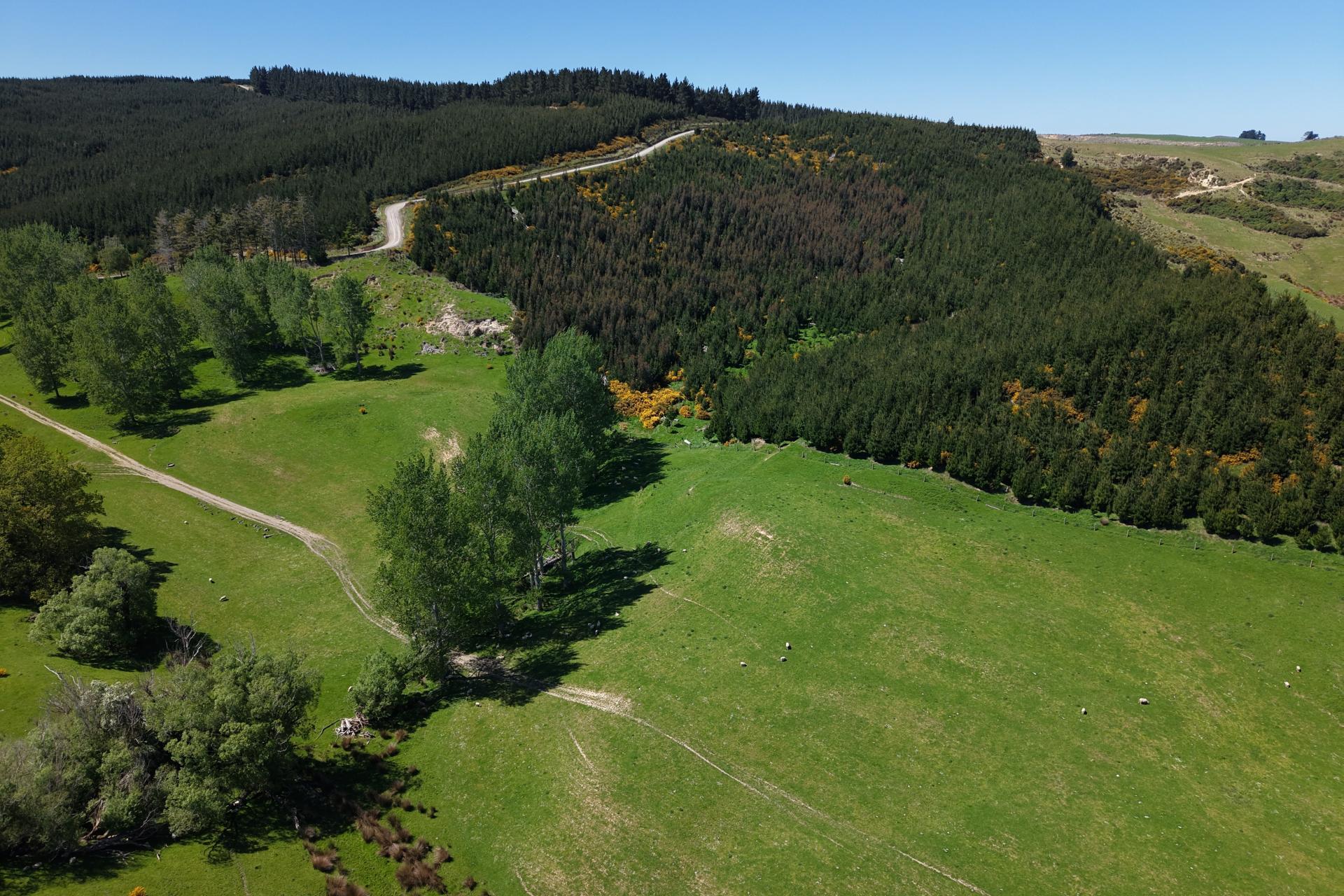 66 Otokia-Kuri Bush Road West, Henley