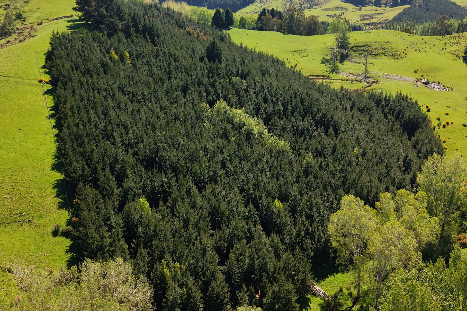 66 Otokia-Kuri Bush Road West, Henley