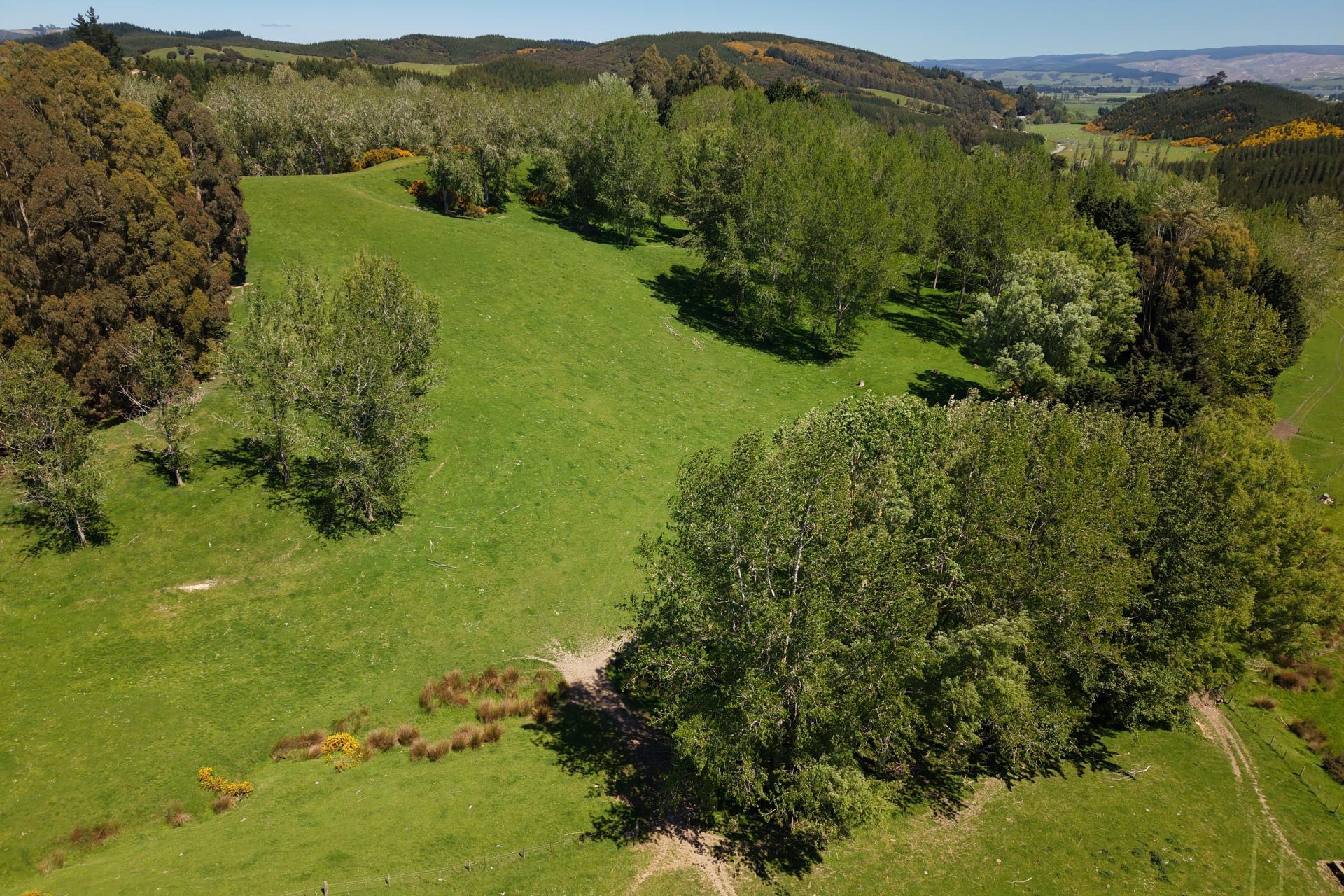 66 Otokia-Kuri Bush Road West, Henley