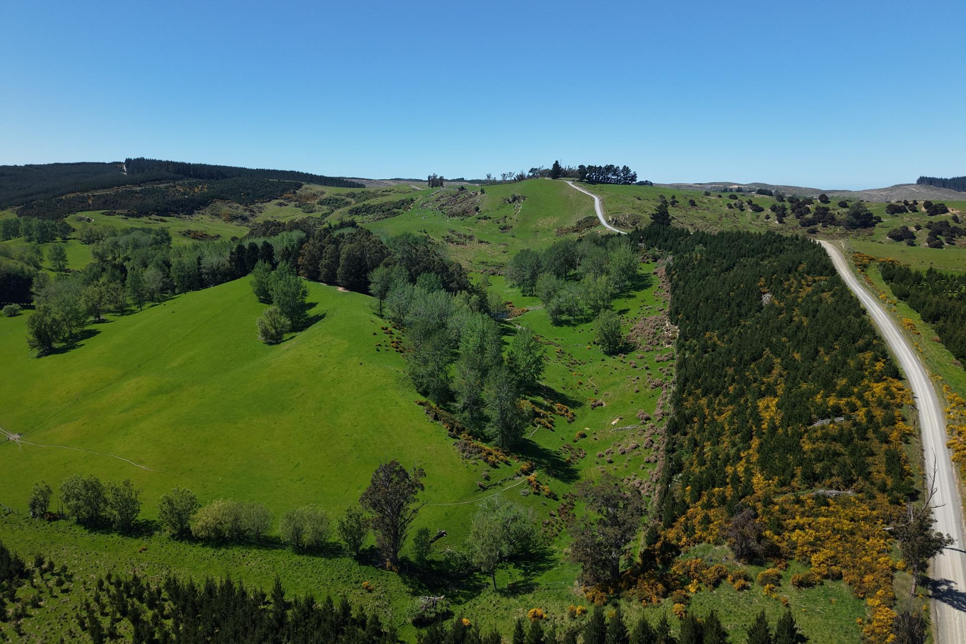 66 Otokia-Kuri Bush Road West, Henley