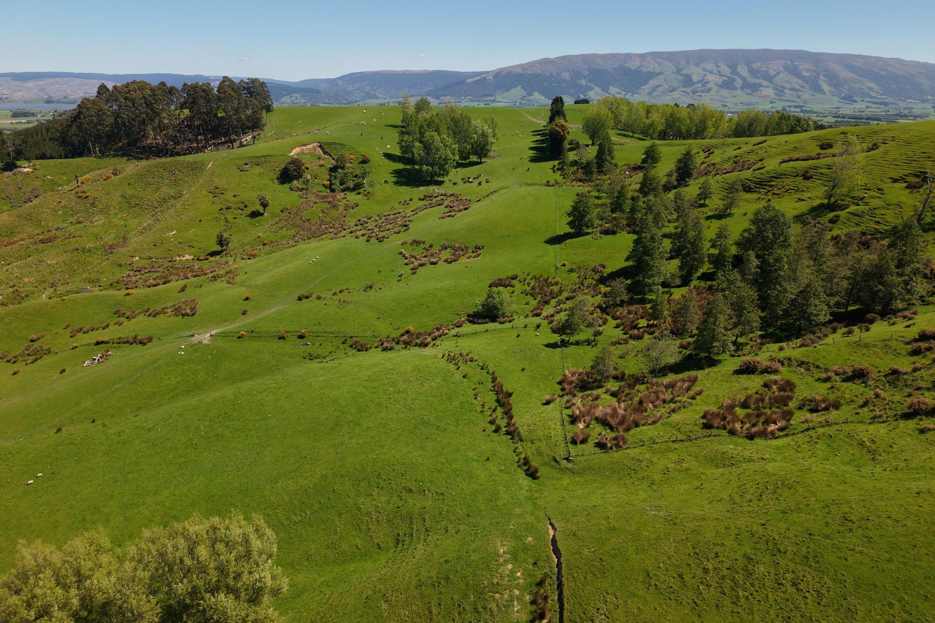 66 Otokia-Kuri Bush Road West, Henley