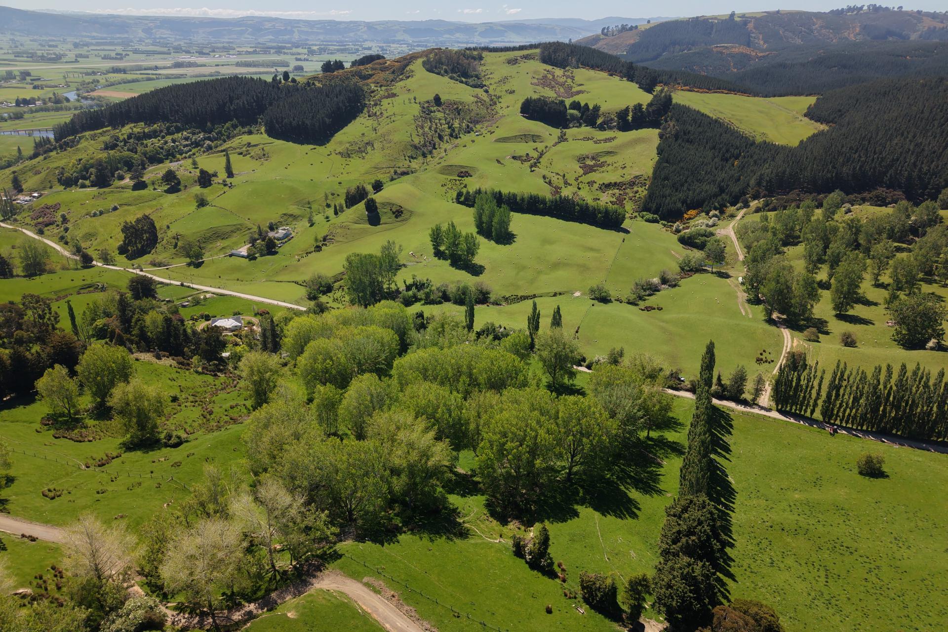 66 Otokia-Kuri Bush Road West, Henley