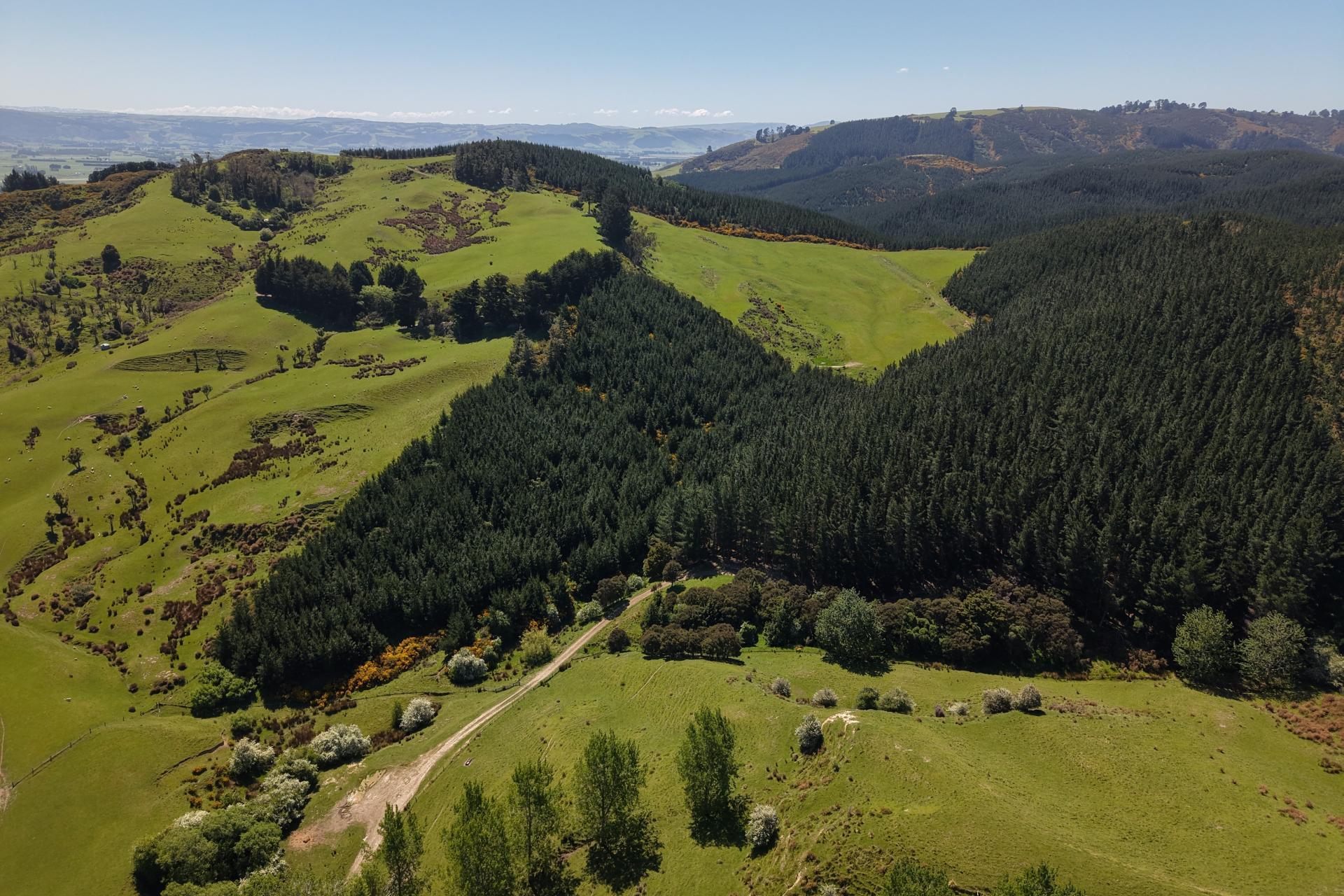 66 Otokia-Kuri Bush Road West, Henley