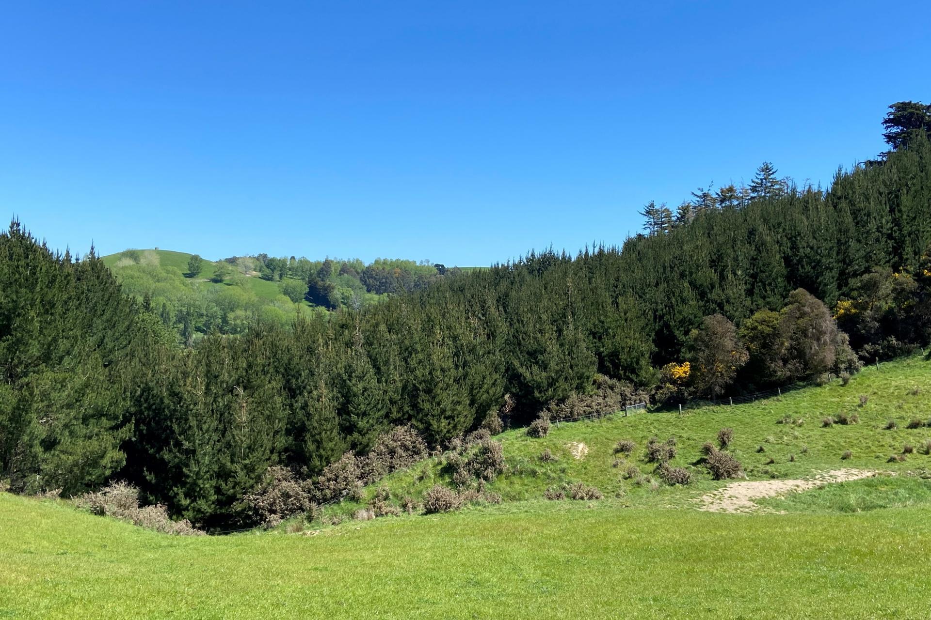 66 Otokia-Kuri Bush Road West, Henley