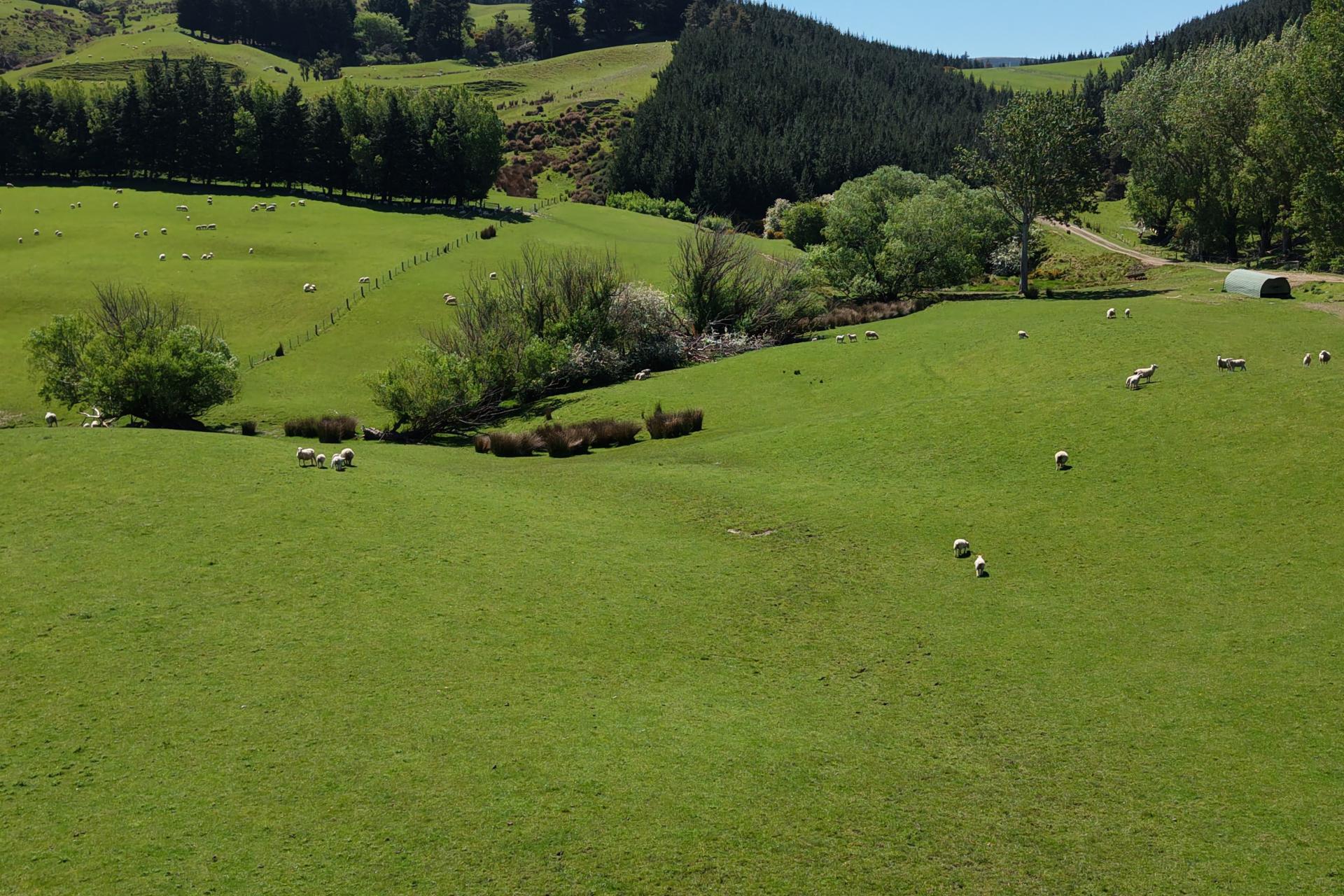 66 Otokia-Kuri Bush Road West, Henley