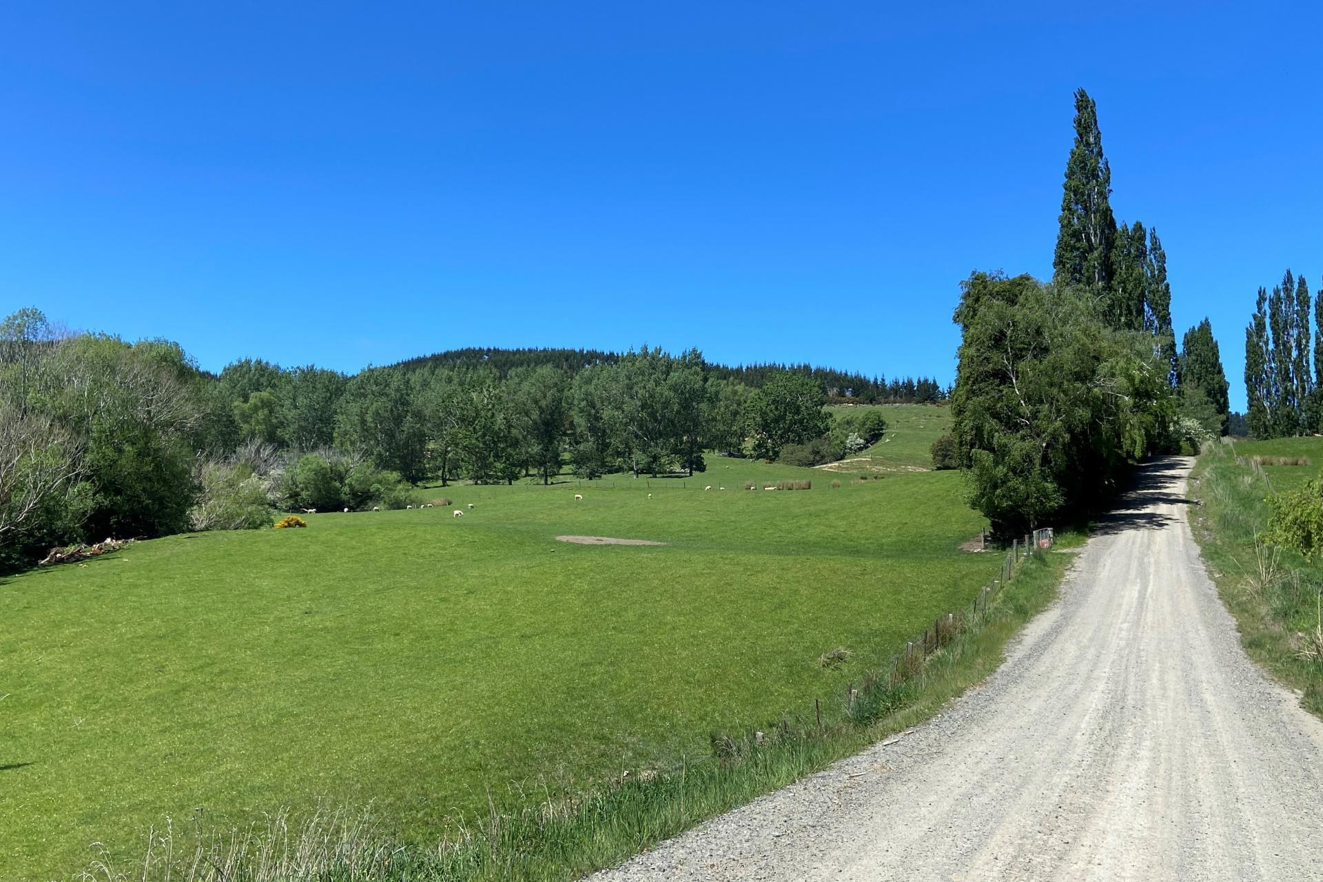 66 Otokia-Kuri Bush Road West, Henley