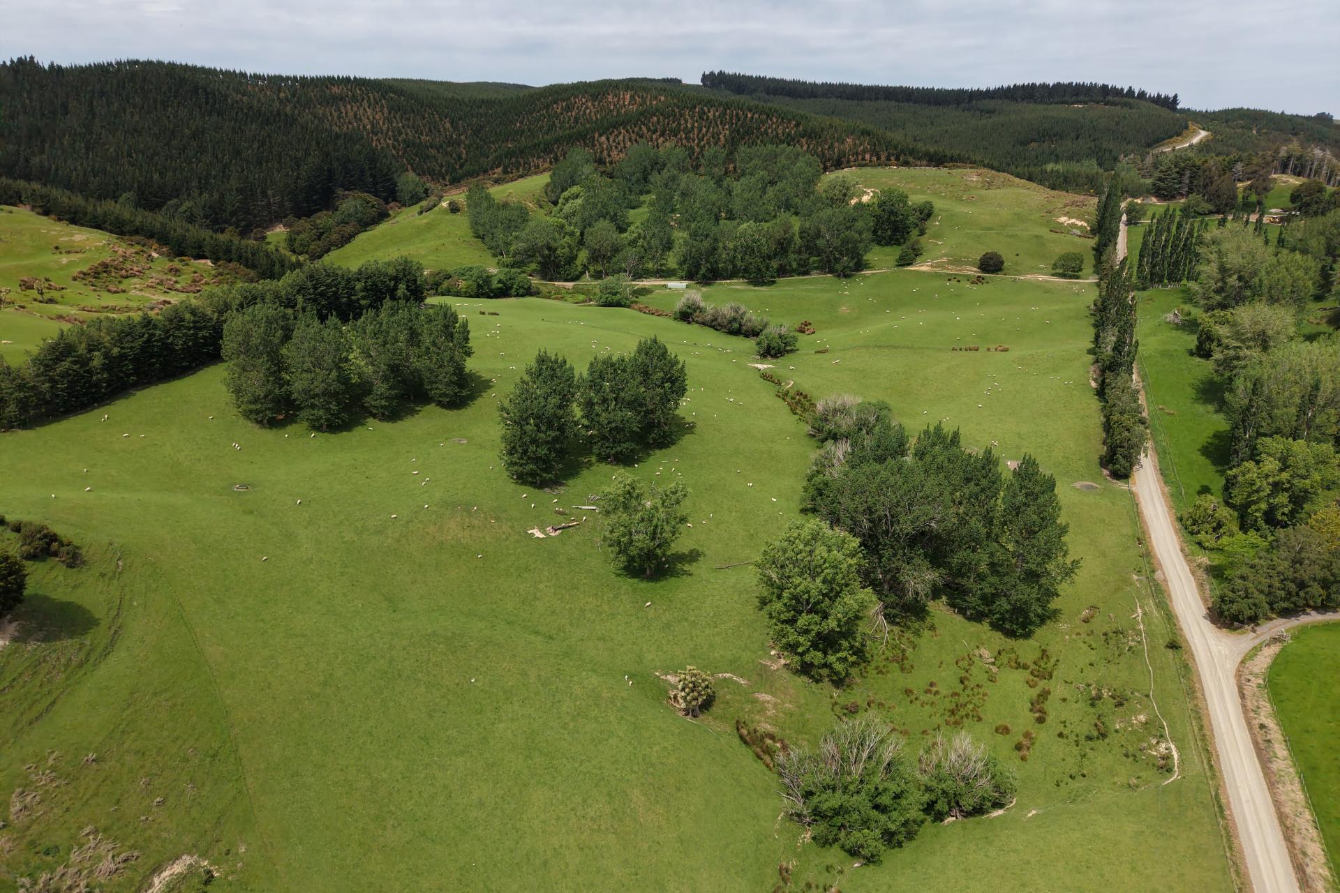 66 Otokia-Kuri Bush Road West, Henley