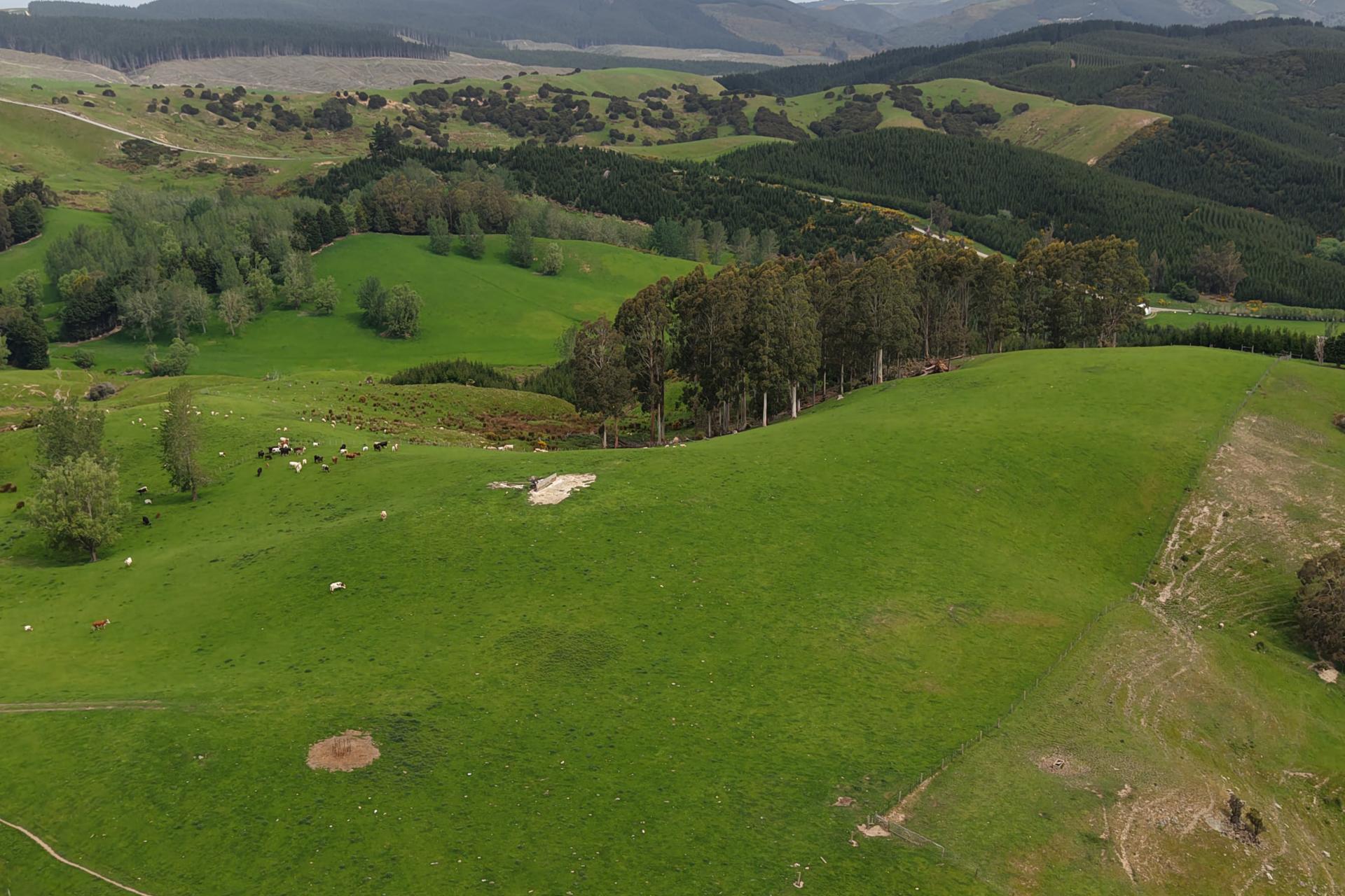 66 Otokia-Kuri Bush Road West, Henley