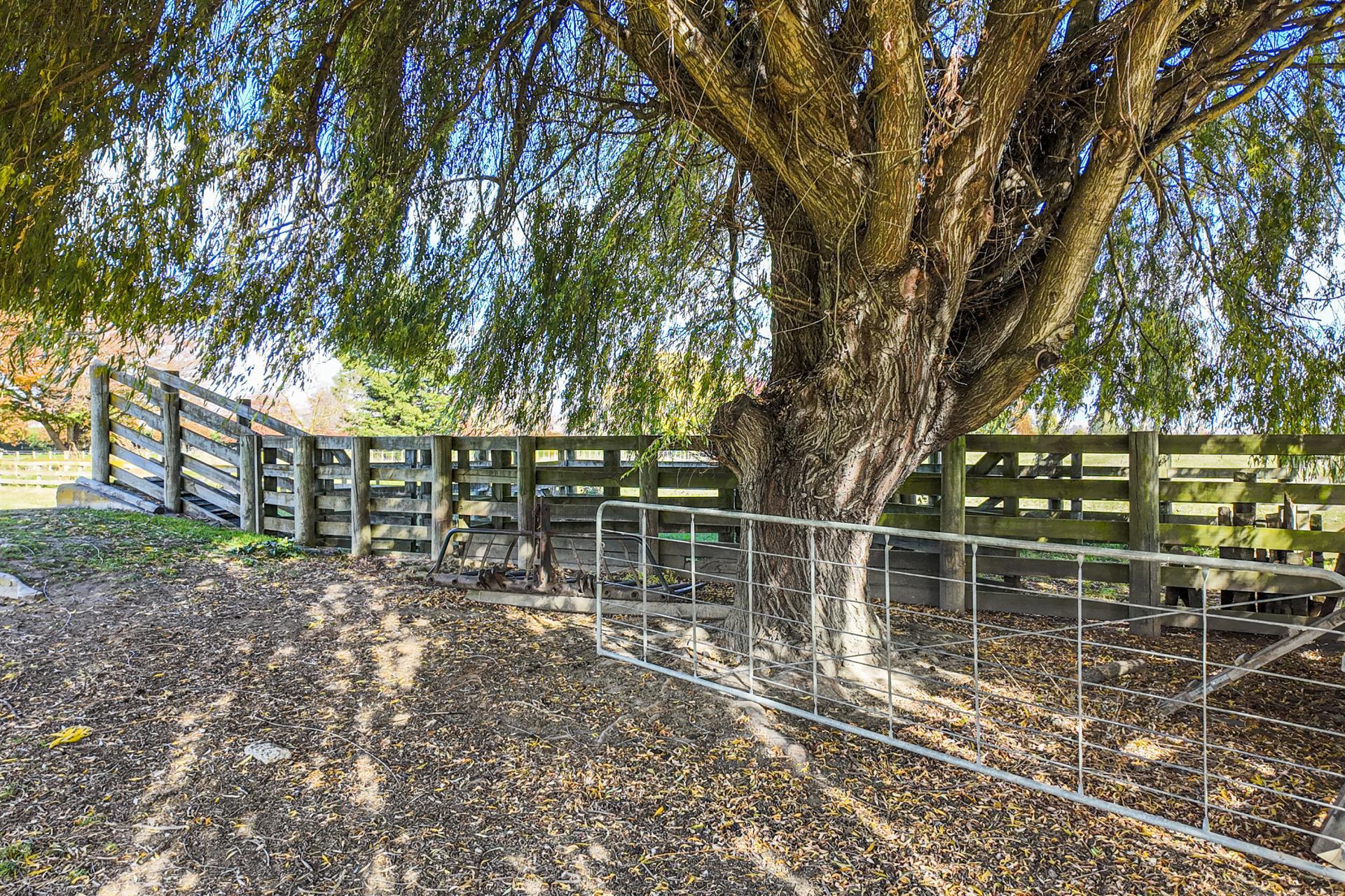 125 Longlands Road, Longlands