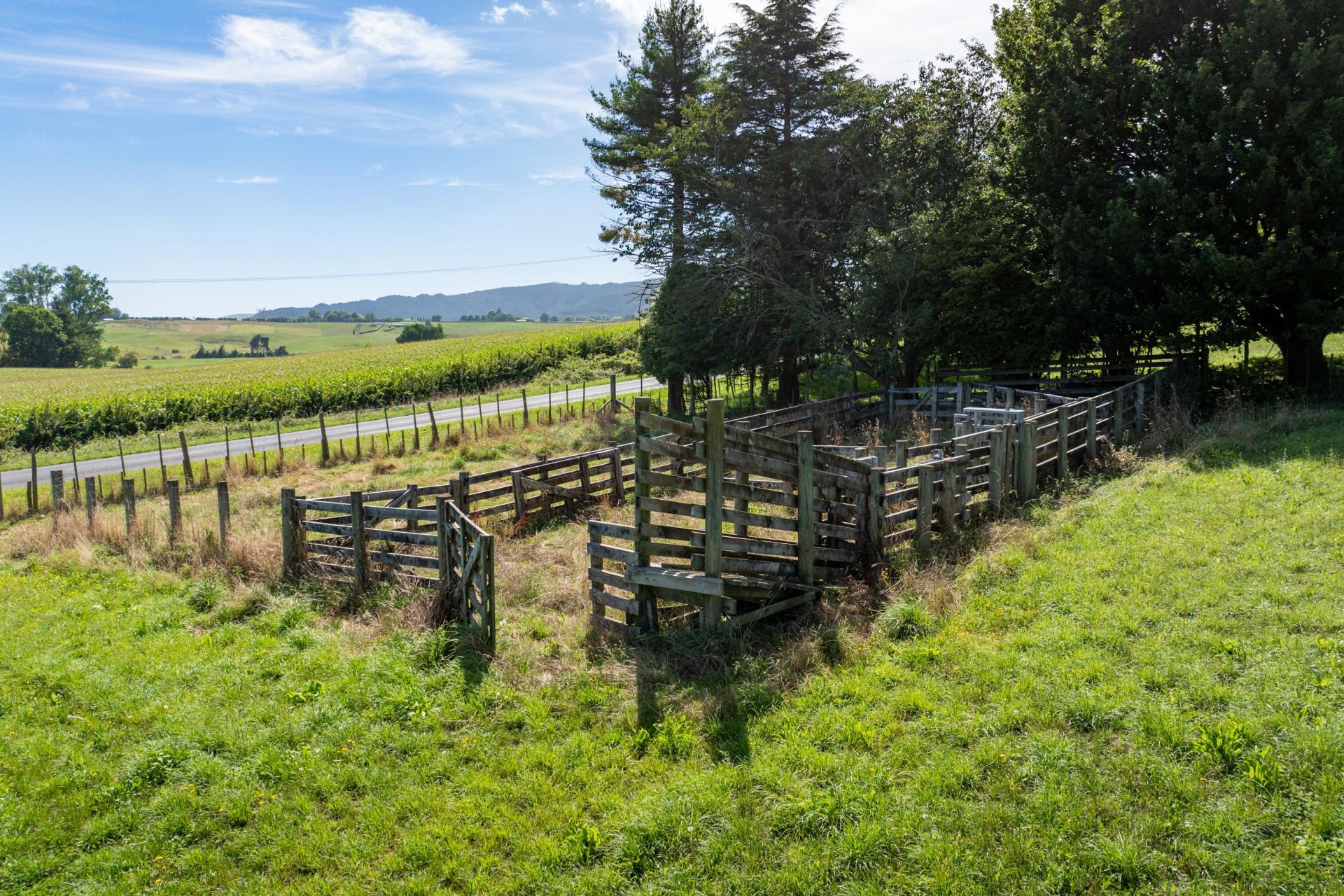 818 Puahue Road, Rotoorangi