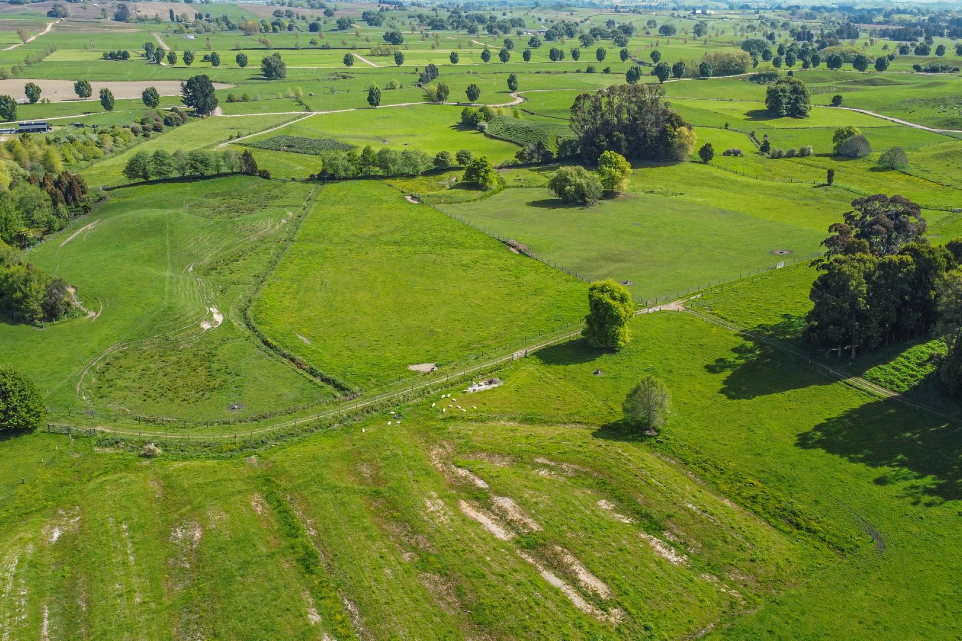 818 Puahue Road, Rotoorangi