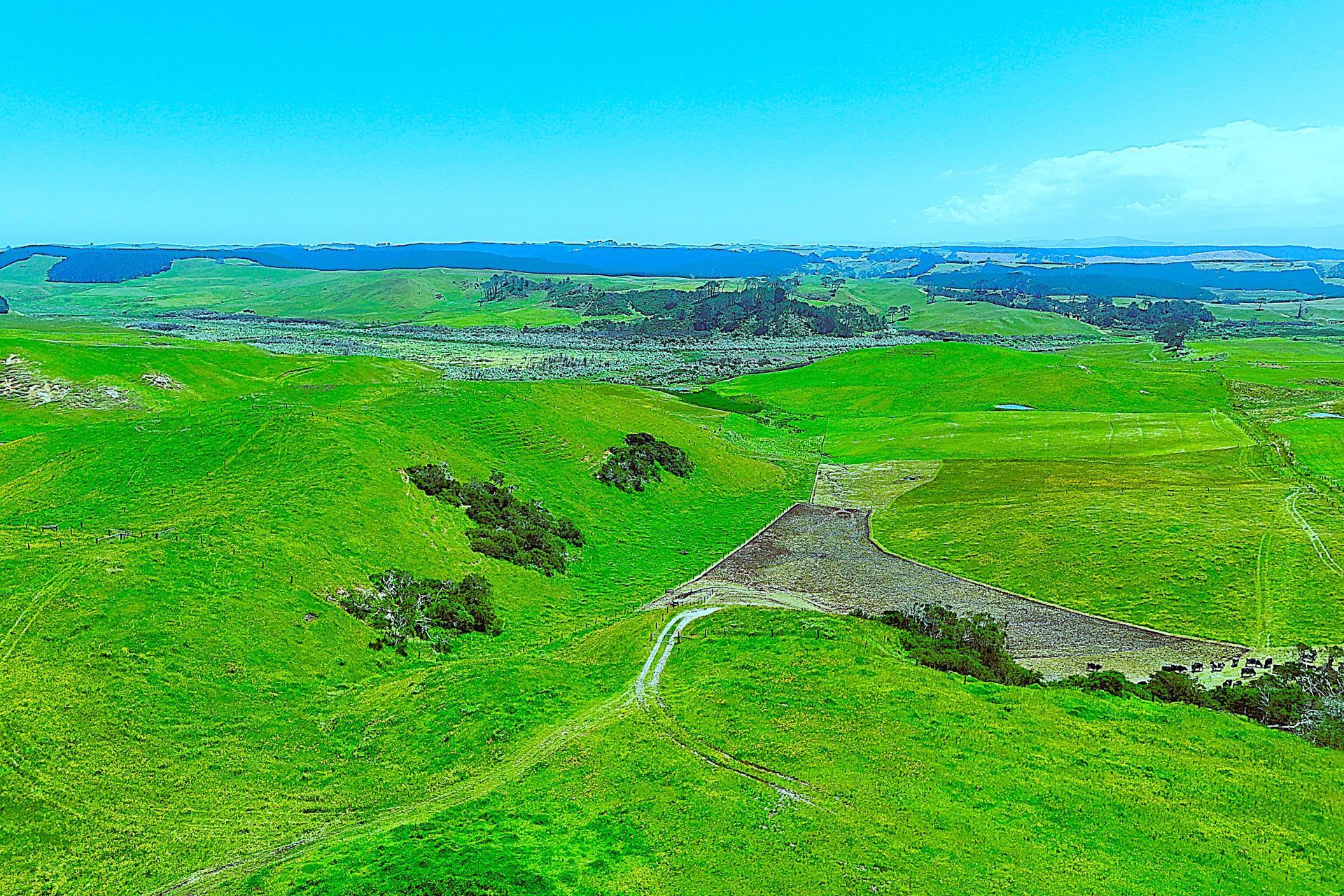 Lot 2, Scottys Camp Road, Dargaville