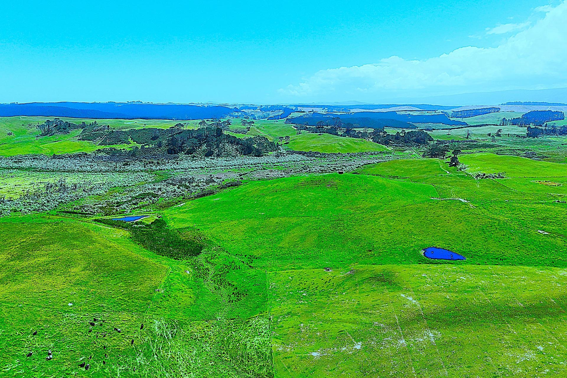 Lot 2, Scottys Camp Road, Dargaville