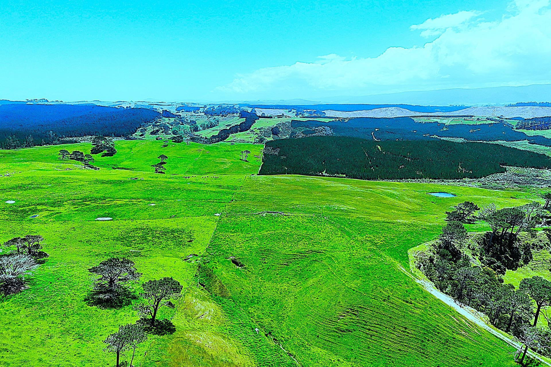 Lot 2, Scottys Camp Road, Dargaville