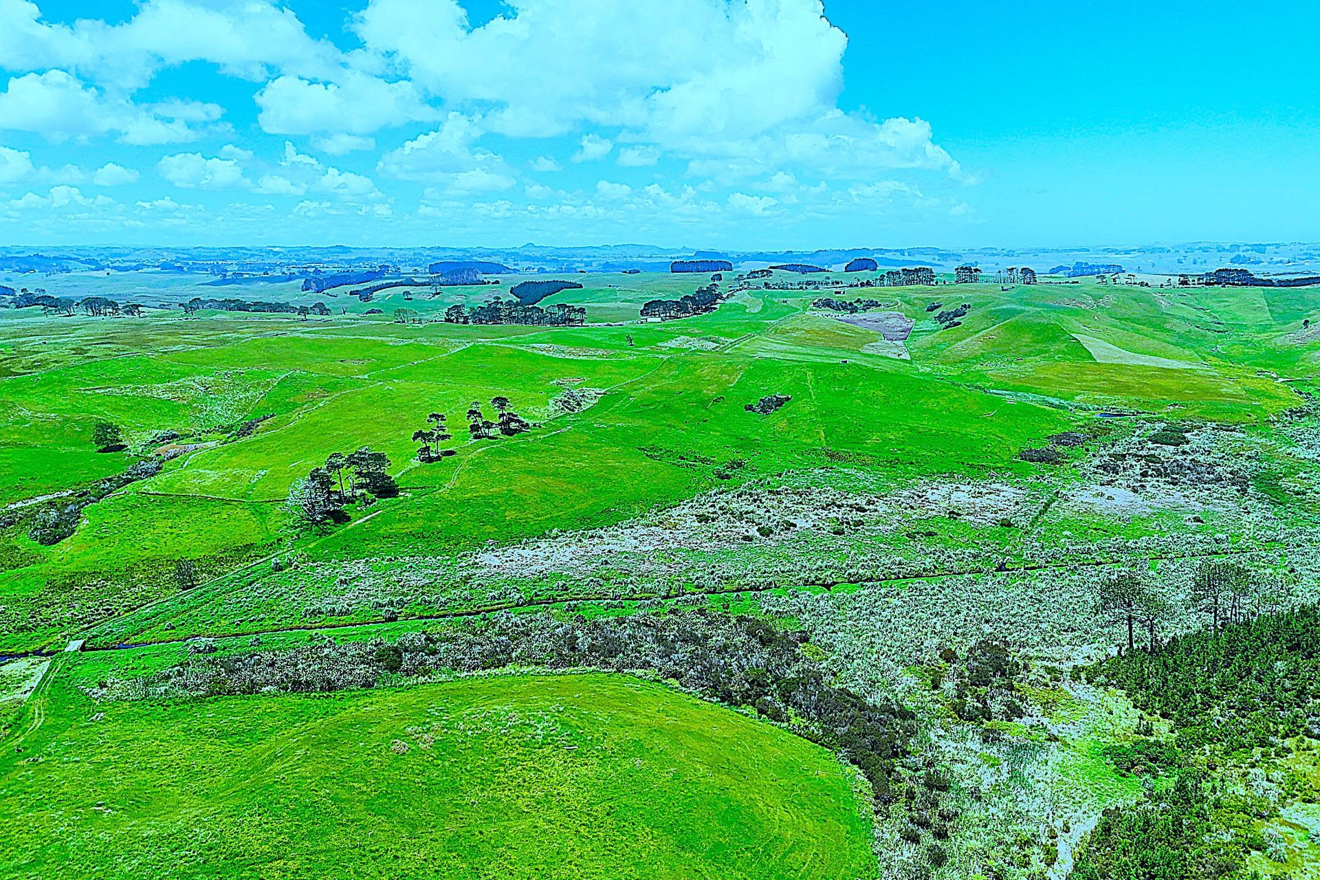 Lot 2, Scottys Camp Road, Dargaville