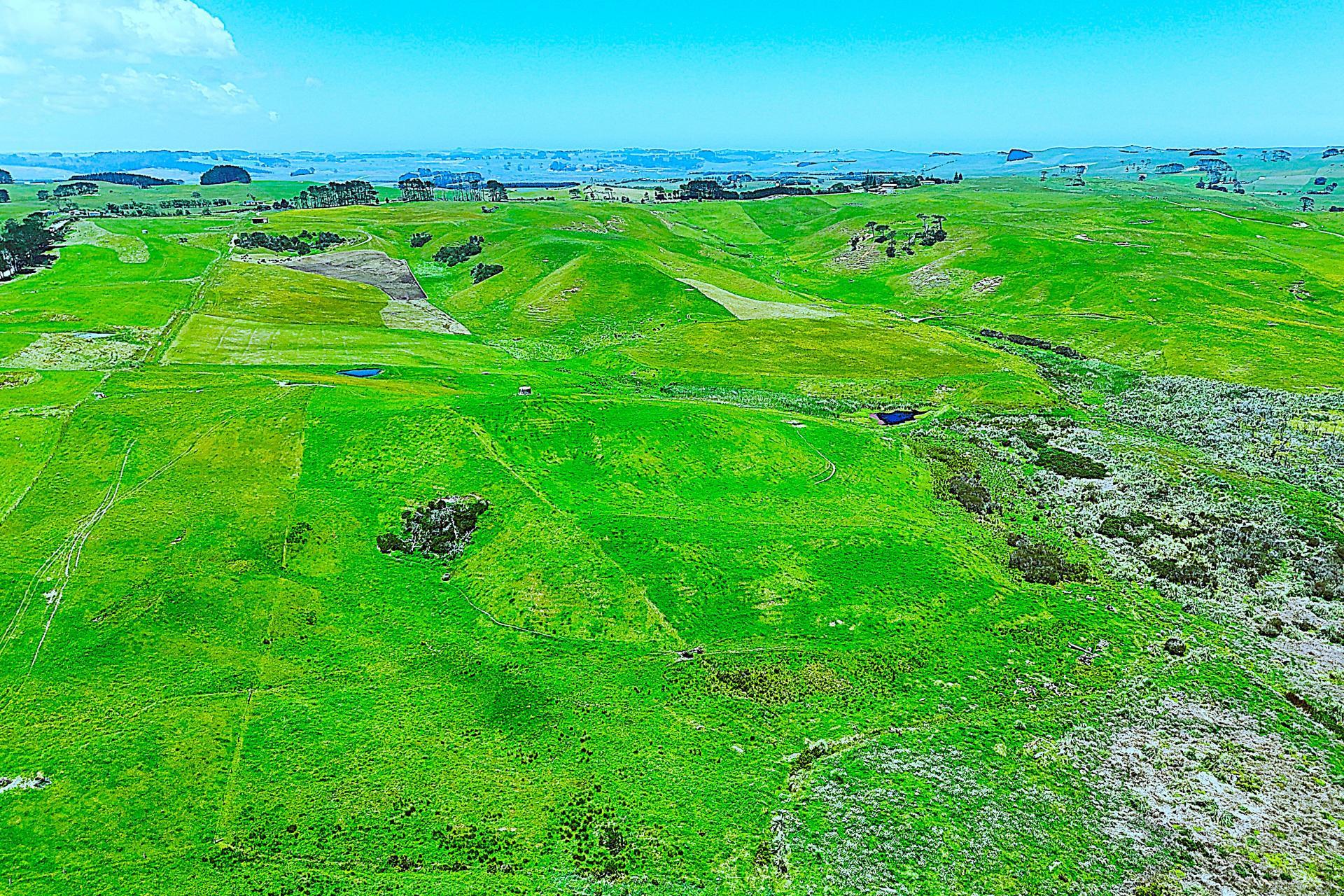 Lot 2, Scottys Camp Road, Dargaville