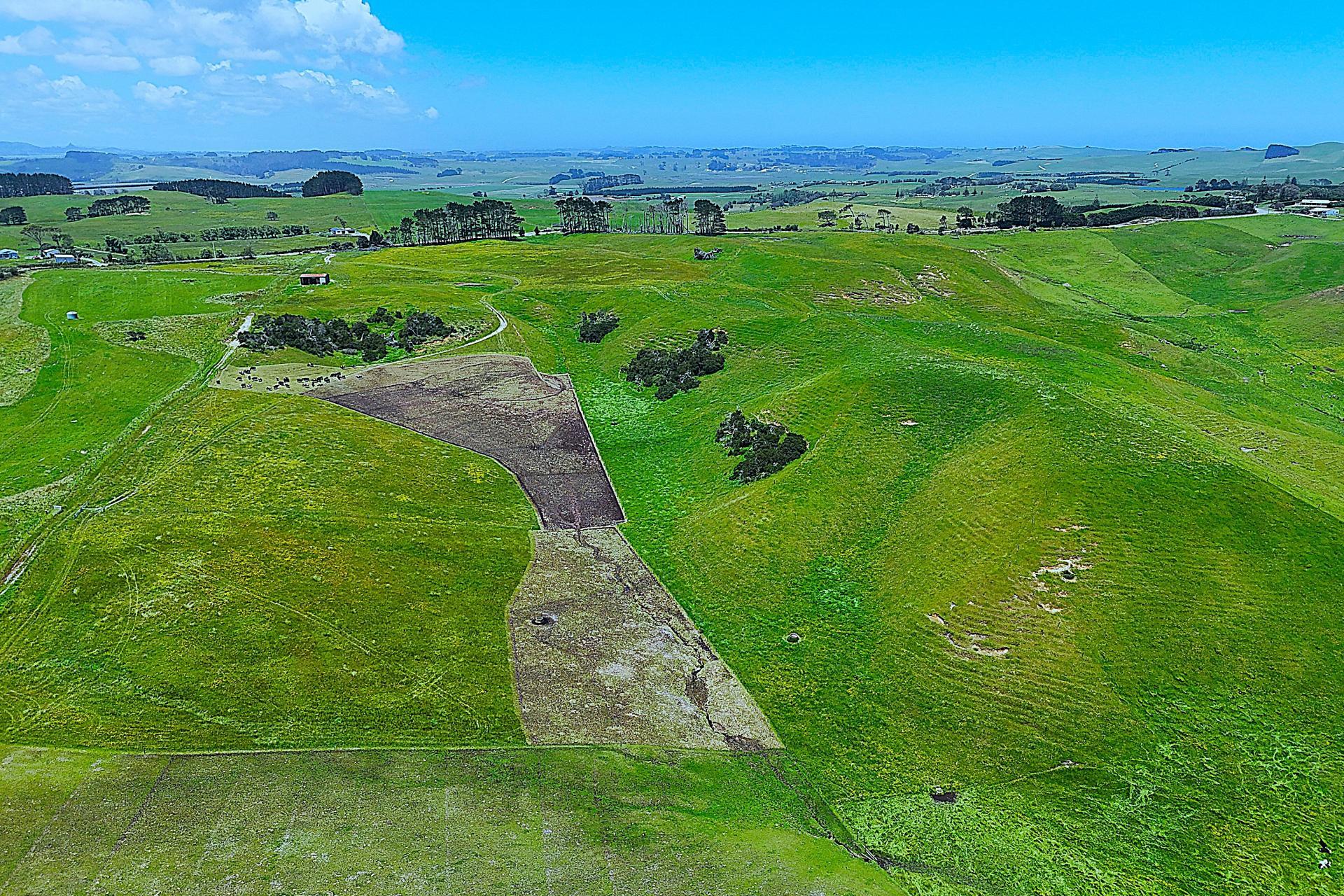 Lot 2, Scottys Camp Road, Dargaville