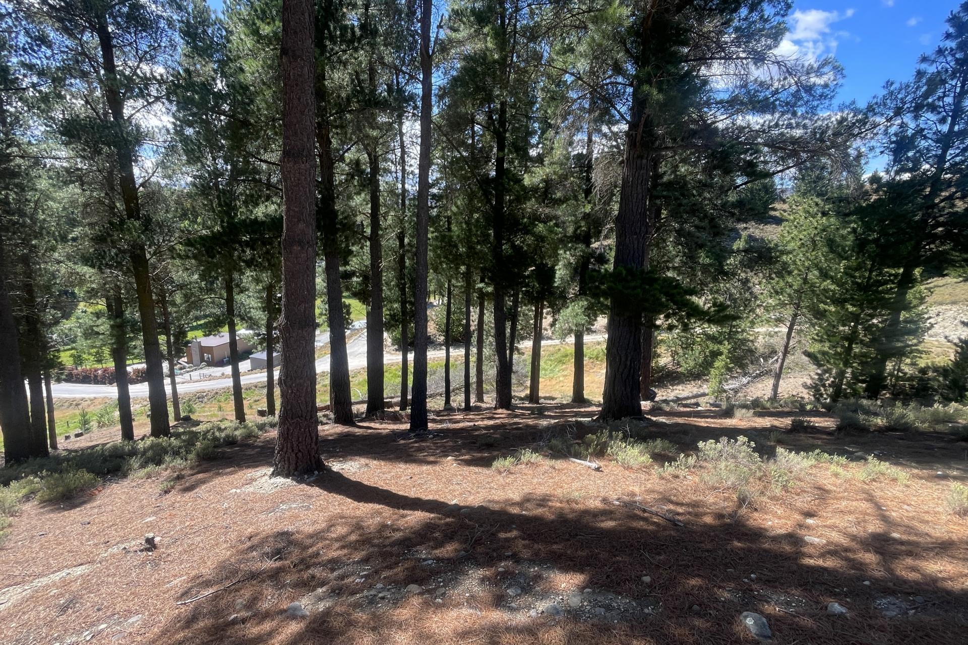 Lot 2, Letts Gully Road, Letts Gully