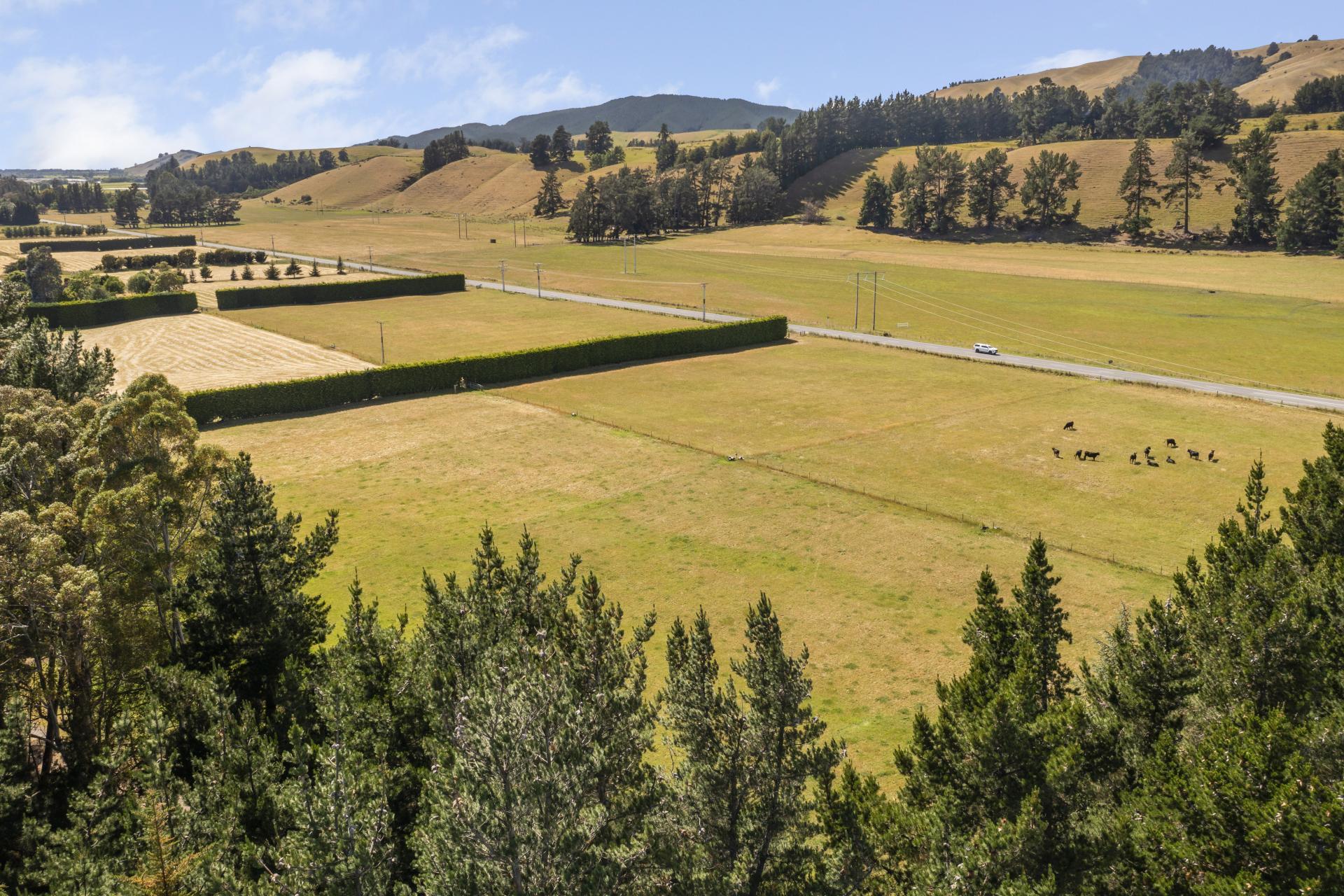 1944 State Highway 63, Wairau Valley