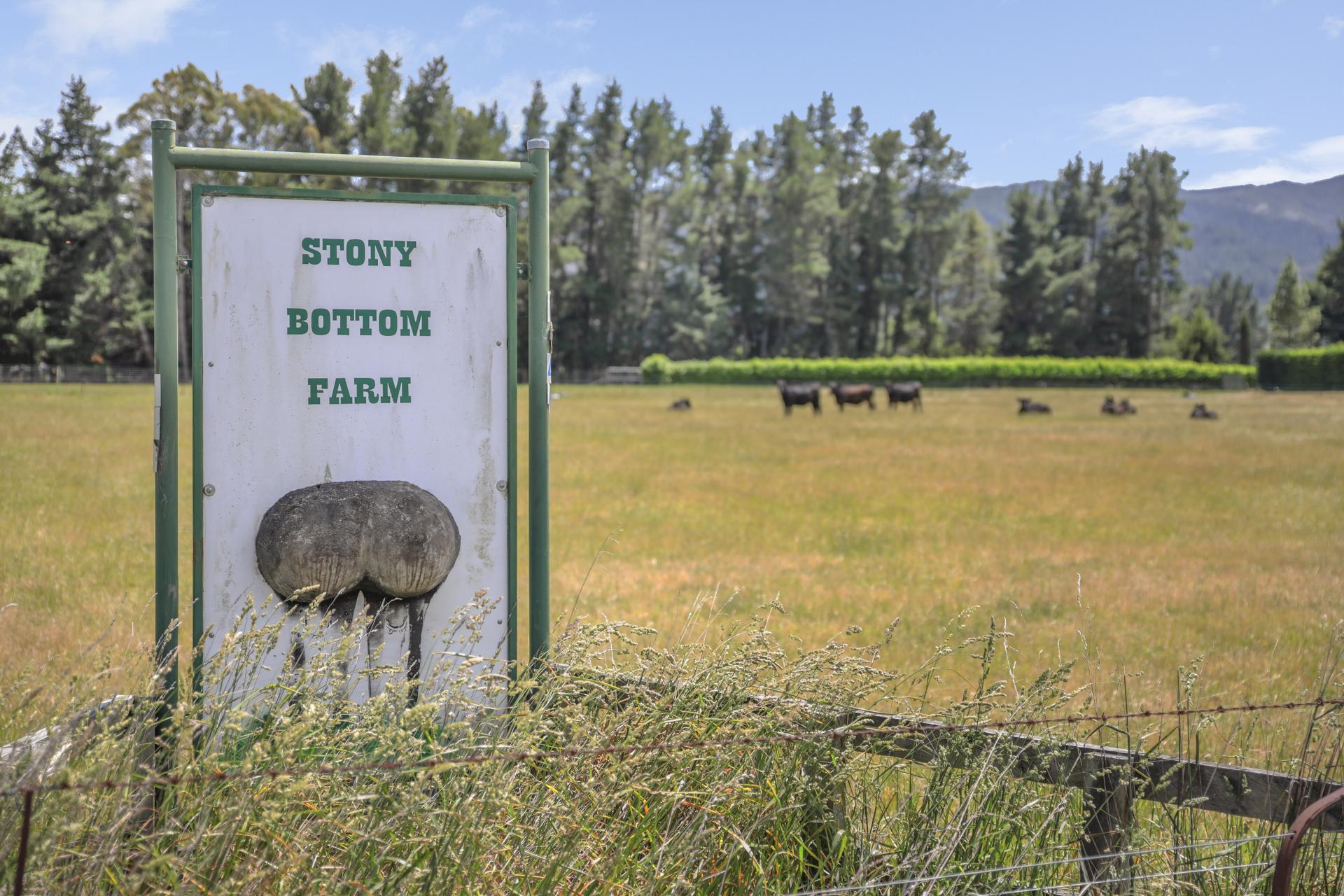 1944 State Highway 63, Wairau Valley