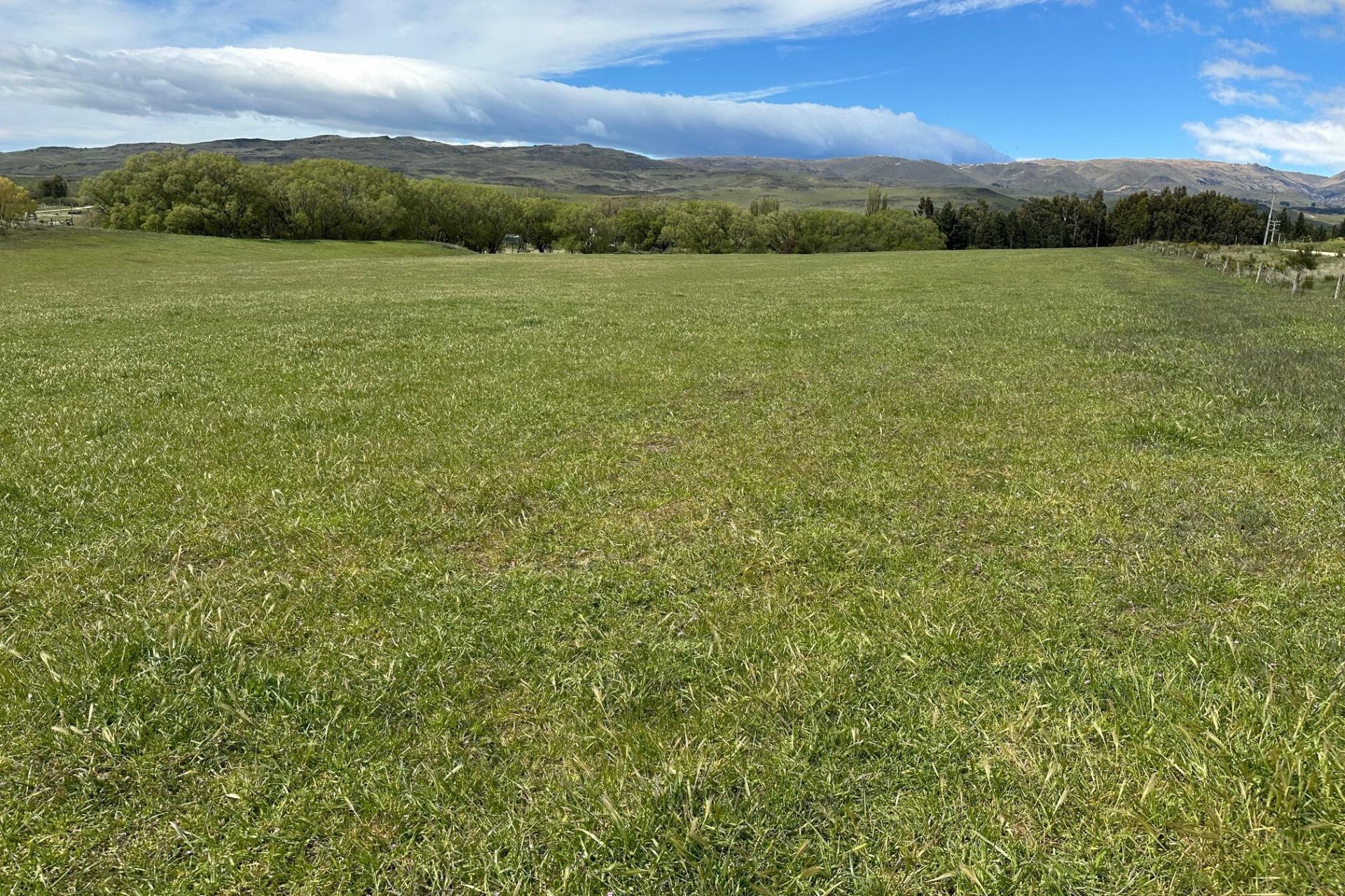 School Road, Waipiata