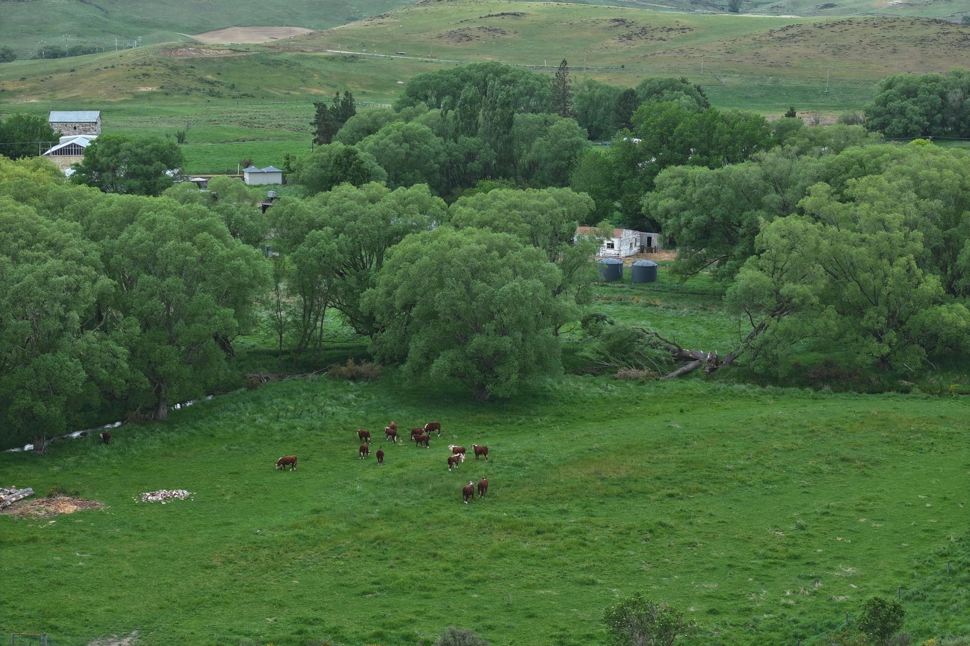 School Road, Waipiata