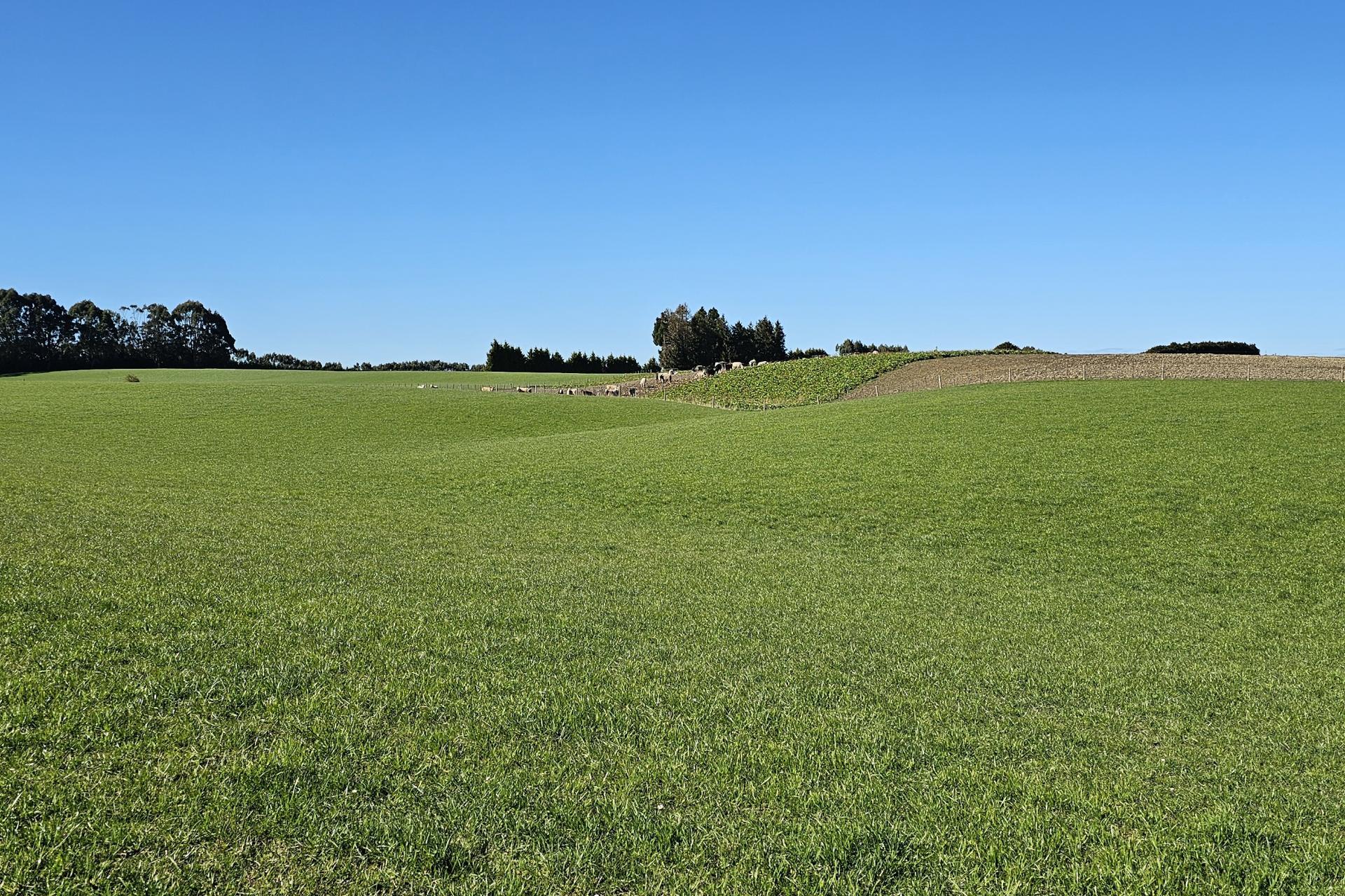 169 Charters Road, Waikoikoi