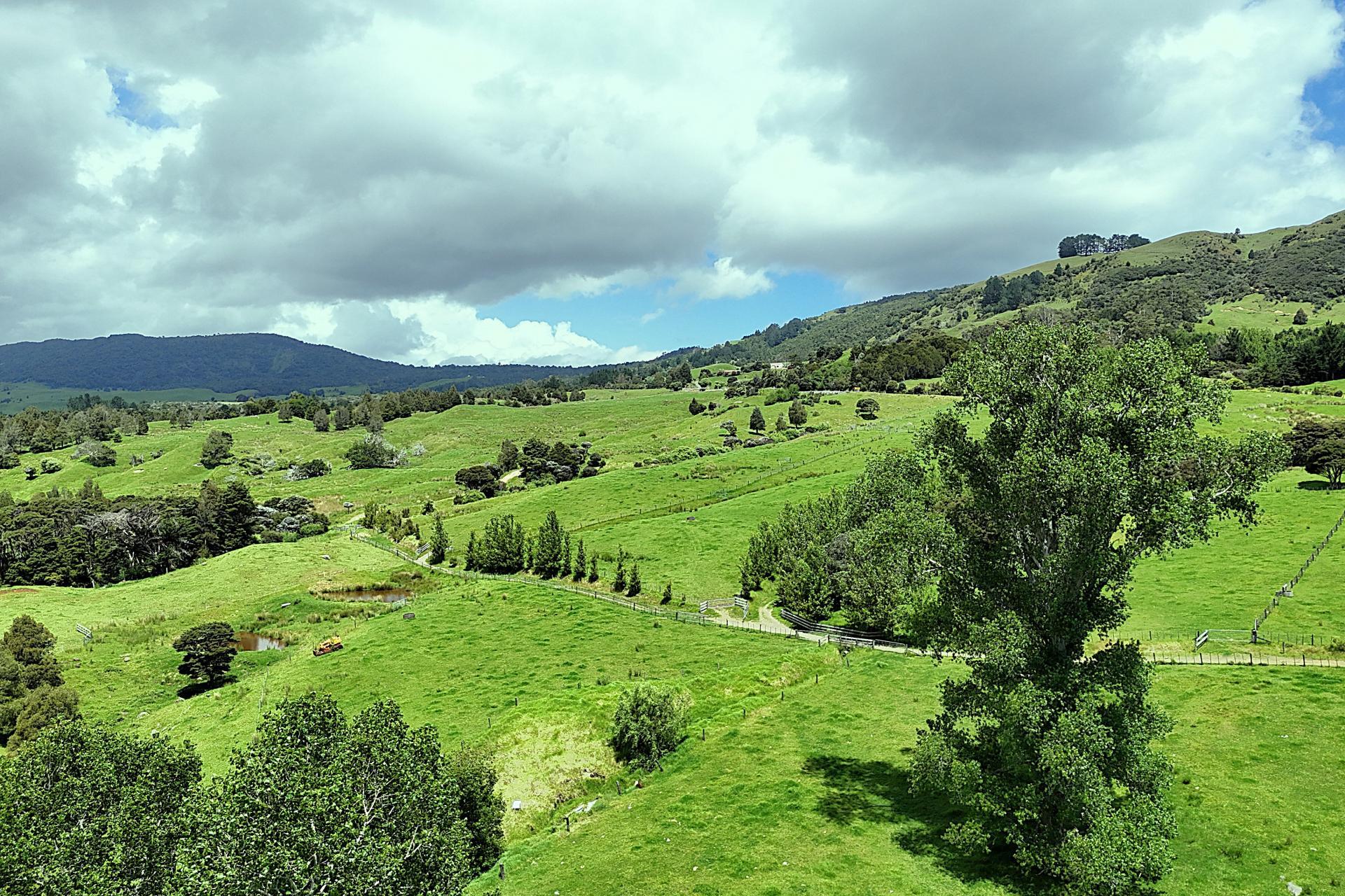 7046 State Highway 12, Waimamaku