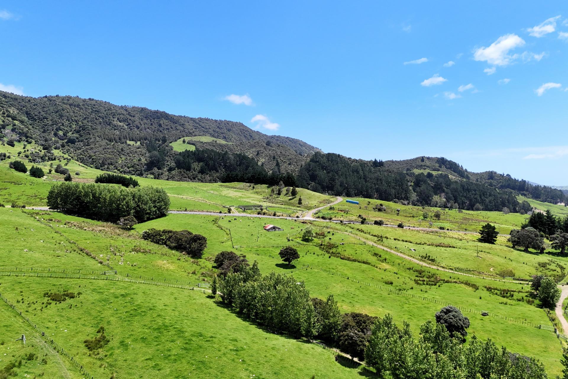 7046 State Highway 12, Waimamaku