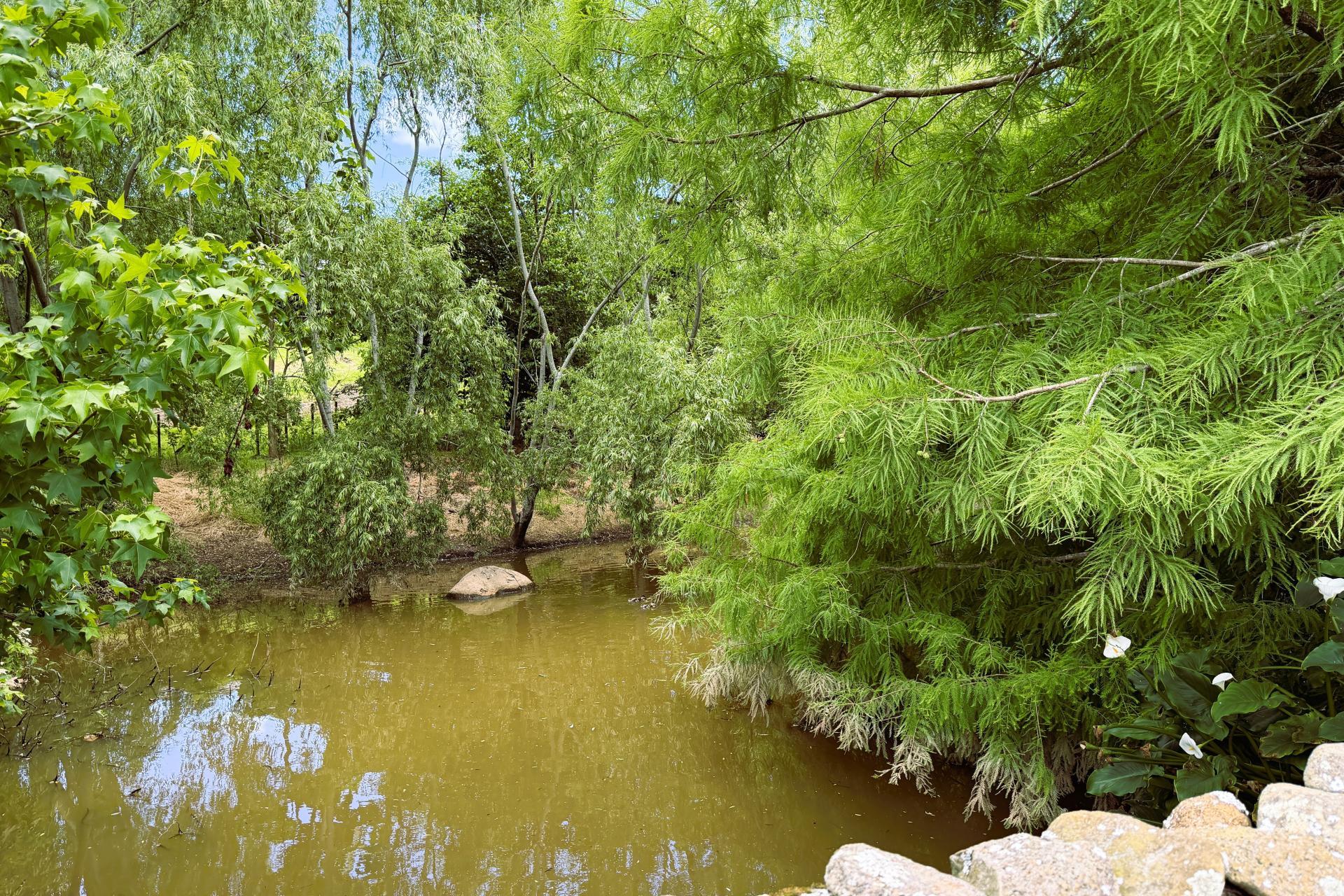 7046 State Highway 12, Waimamaku