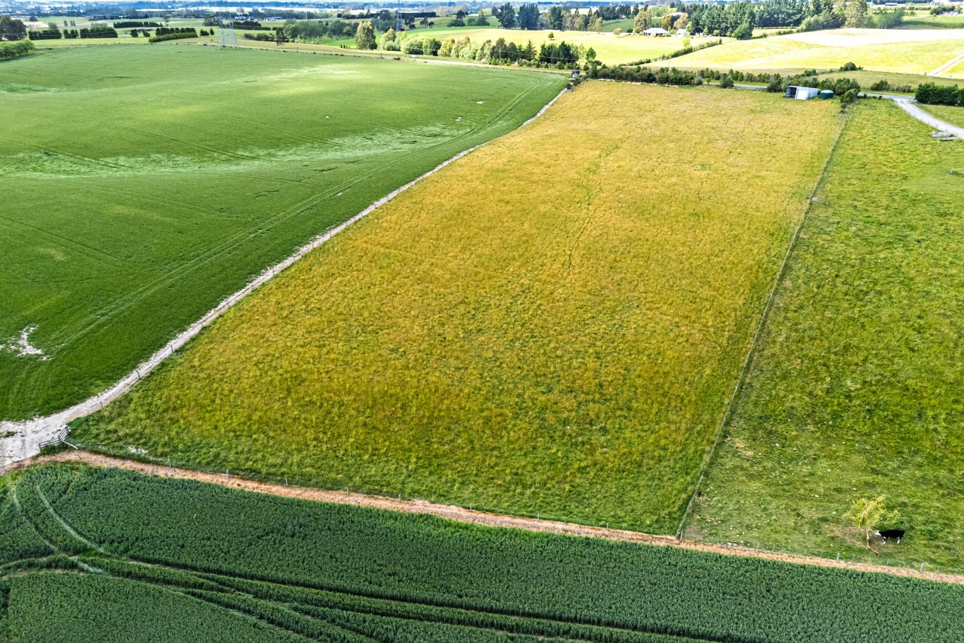 Rolling Ridges Road, Timaru