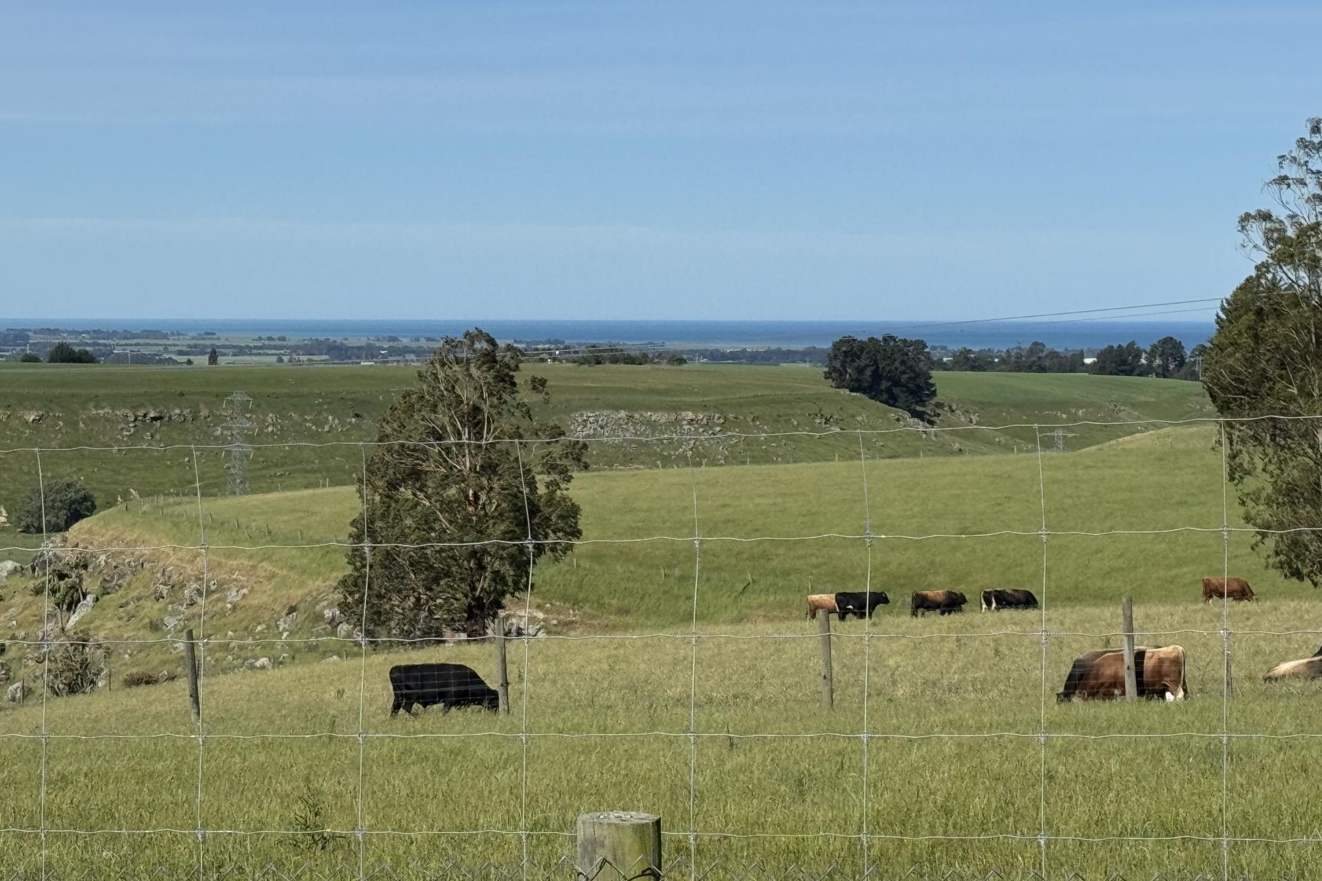 356 Hadlow Road, Claremont