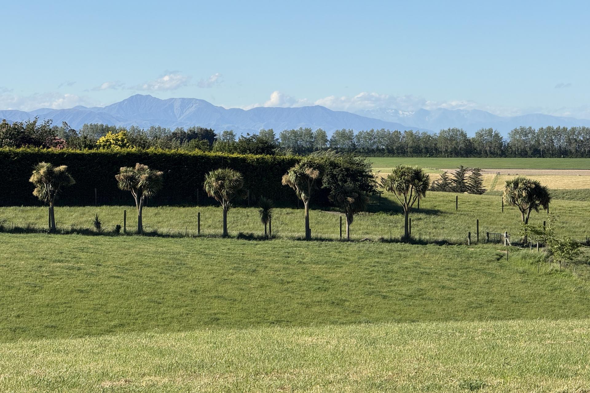 356 Hadlow Road, Claremont