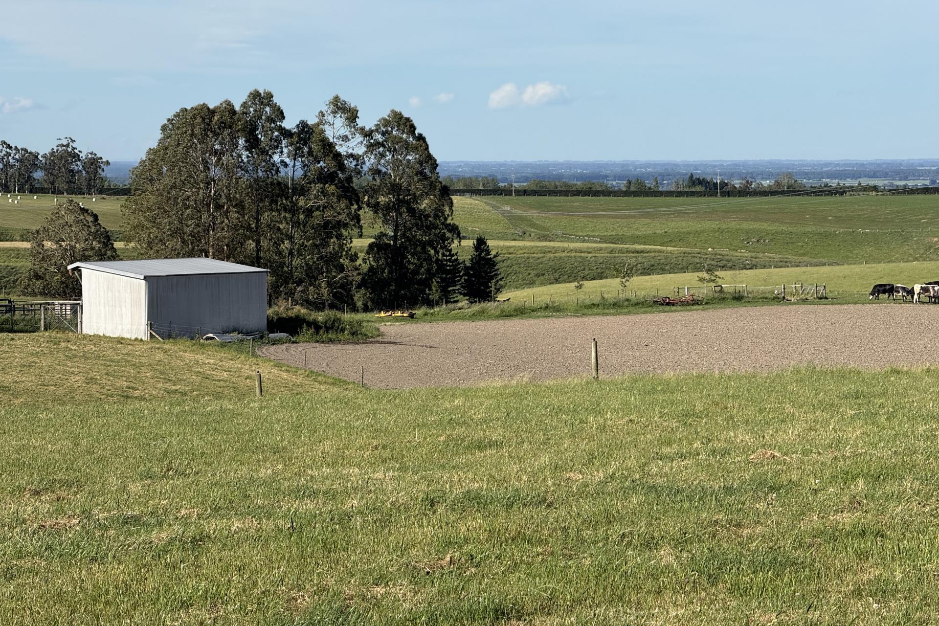 356 Hadlow Road, Claremont