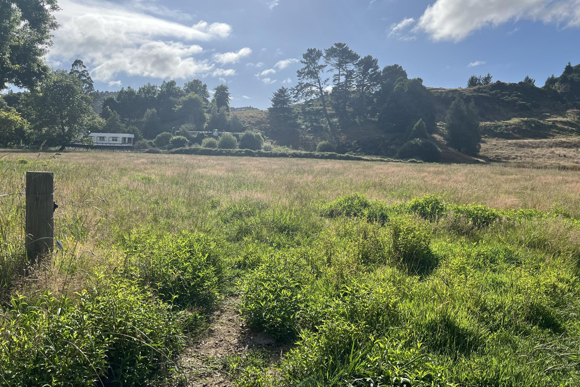Waitomo Valley Road, Waitomo