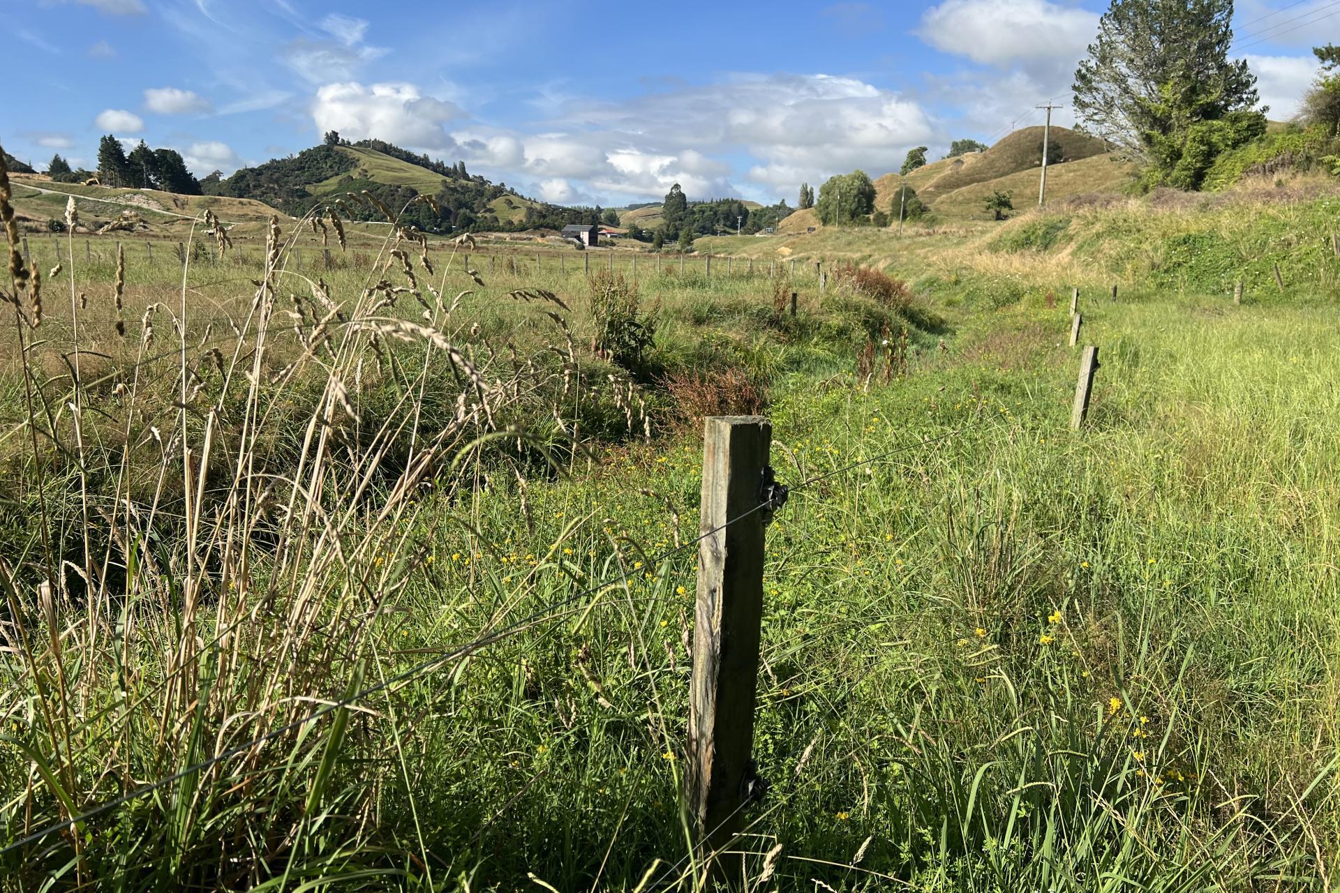 Waitomo Valley Road, Waitomo