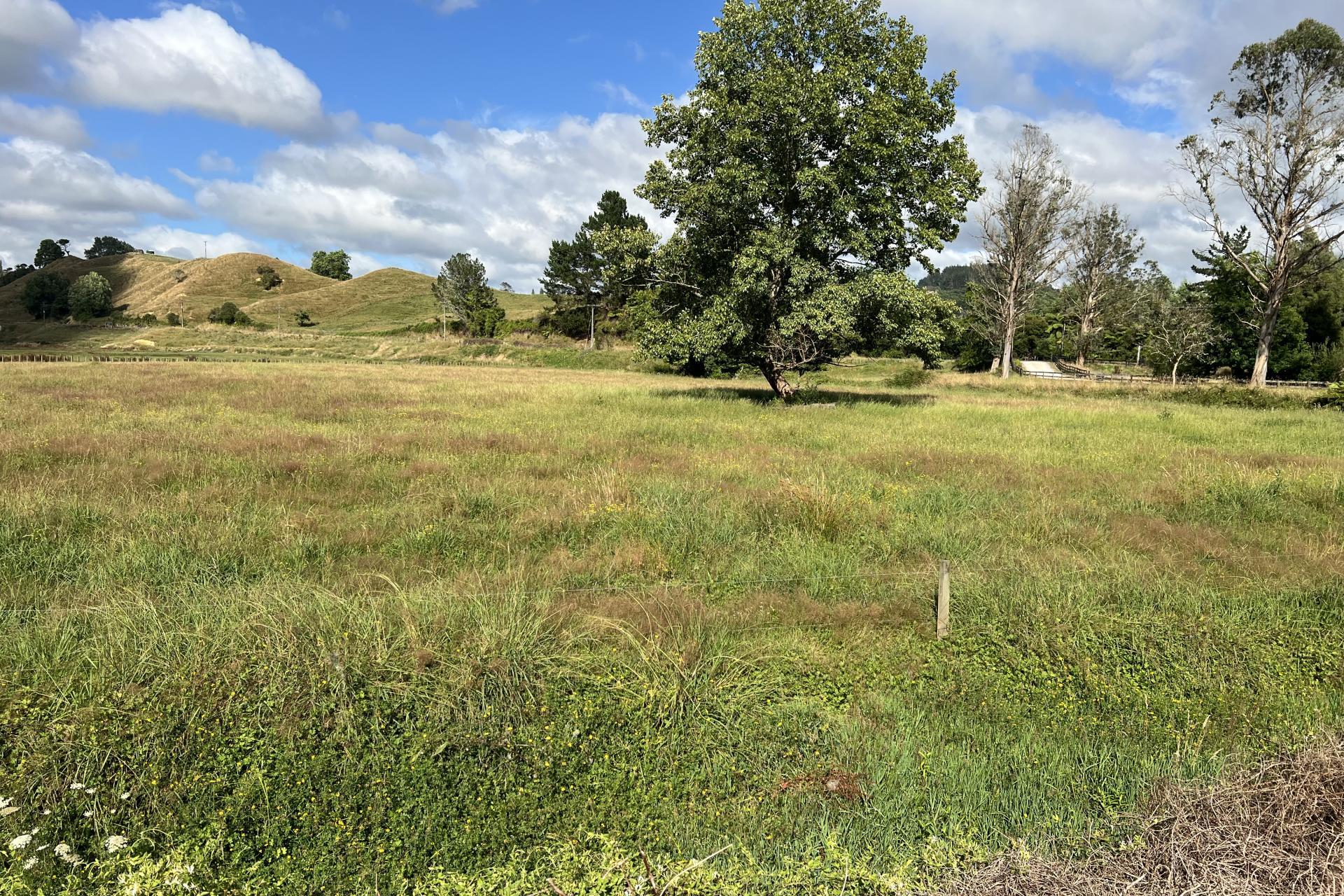 Waitomo Valley Road, Waitomo