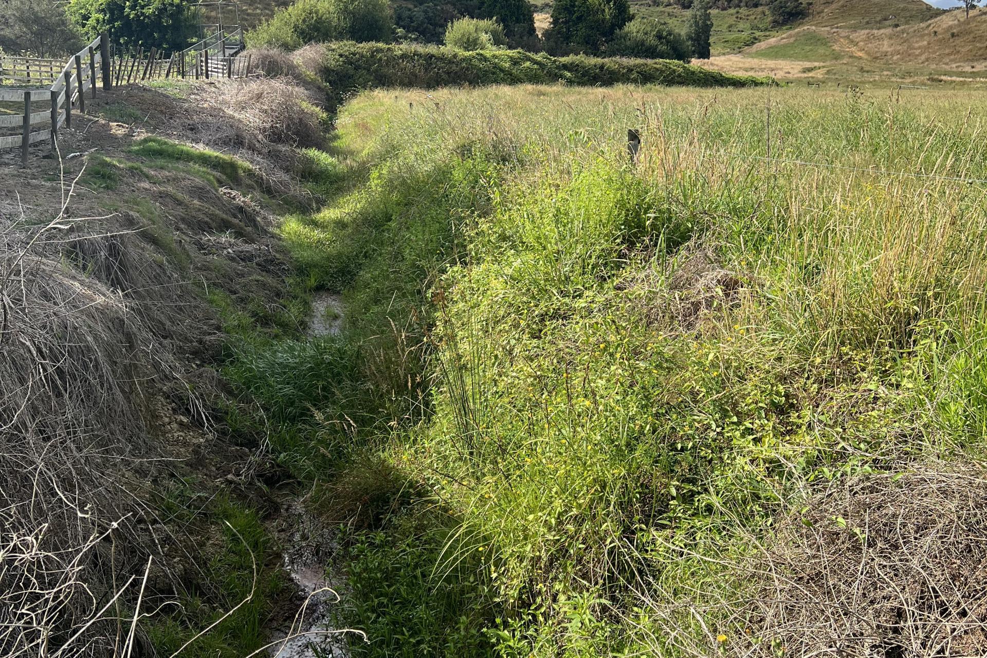 Waitomo Valley Road, Waitomo