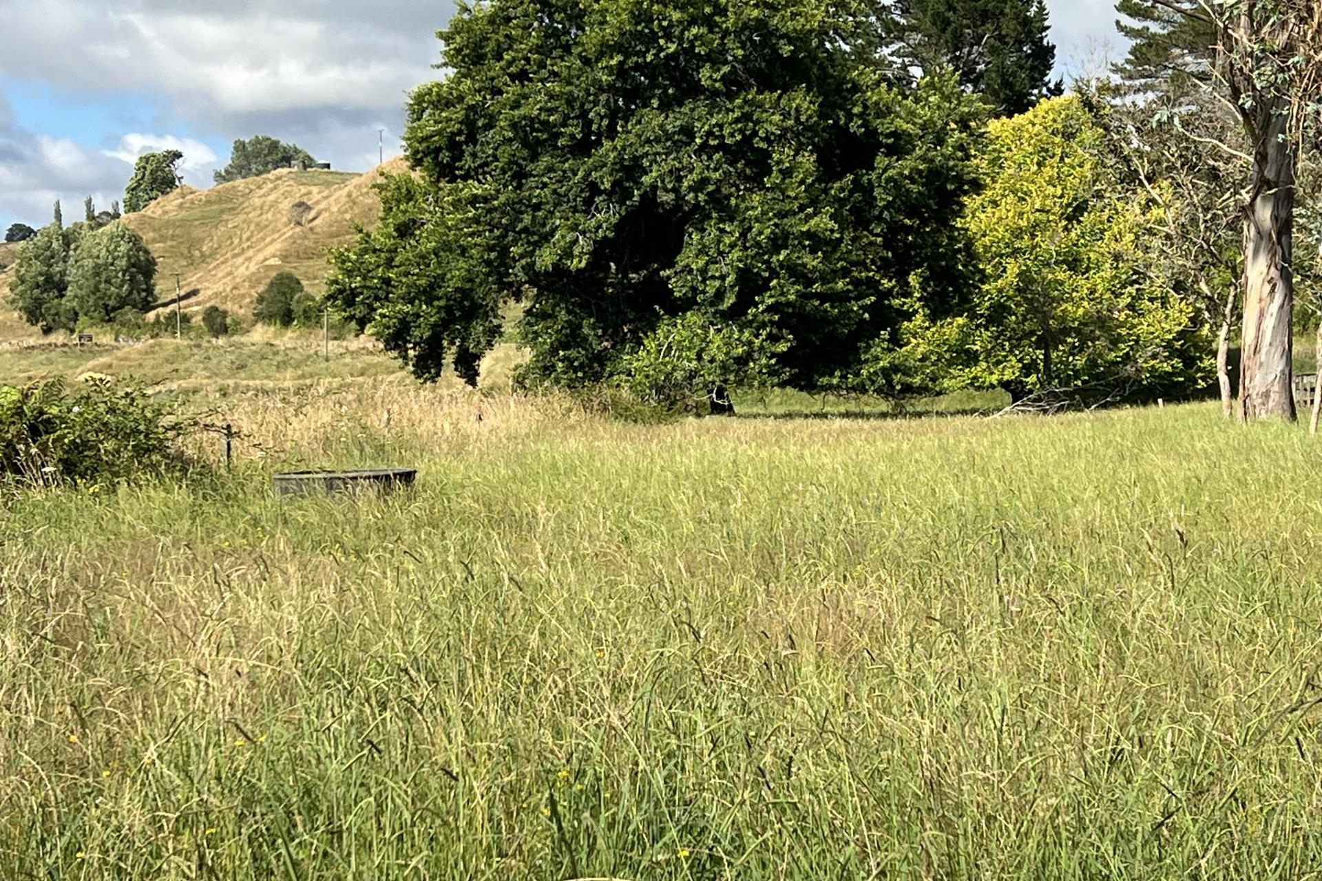 Waitomo Valley Road, Waitomo