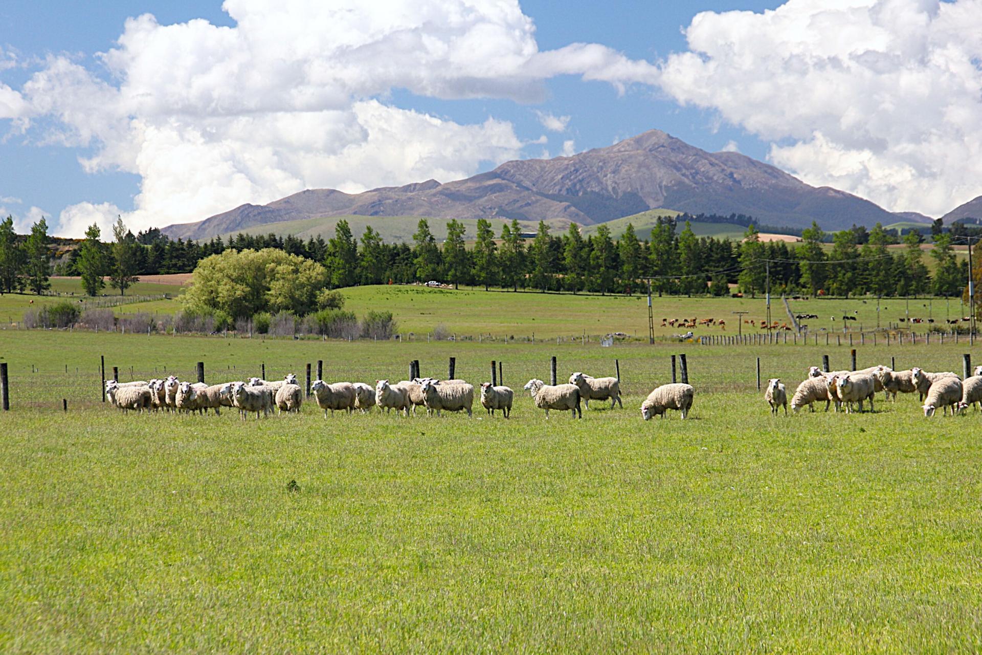 722 Kakapo Road, Te Anau