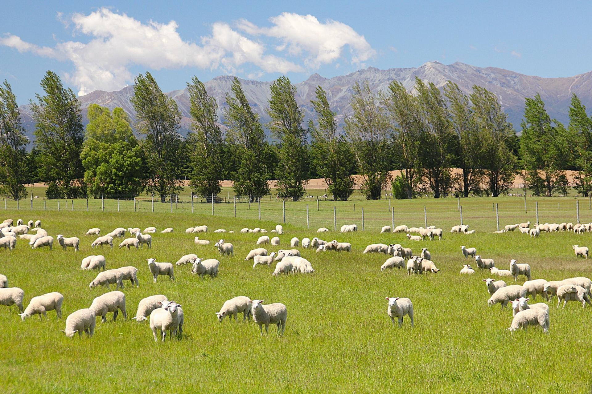 722 Kakapo Road, Te Anau