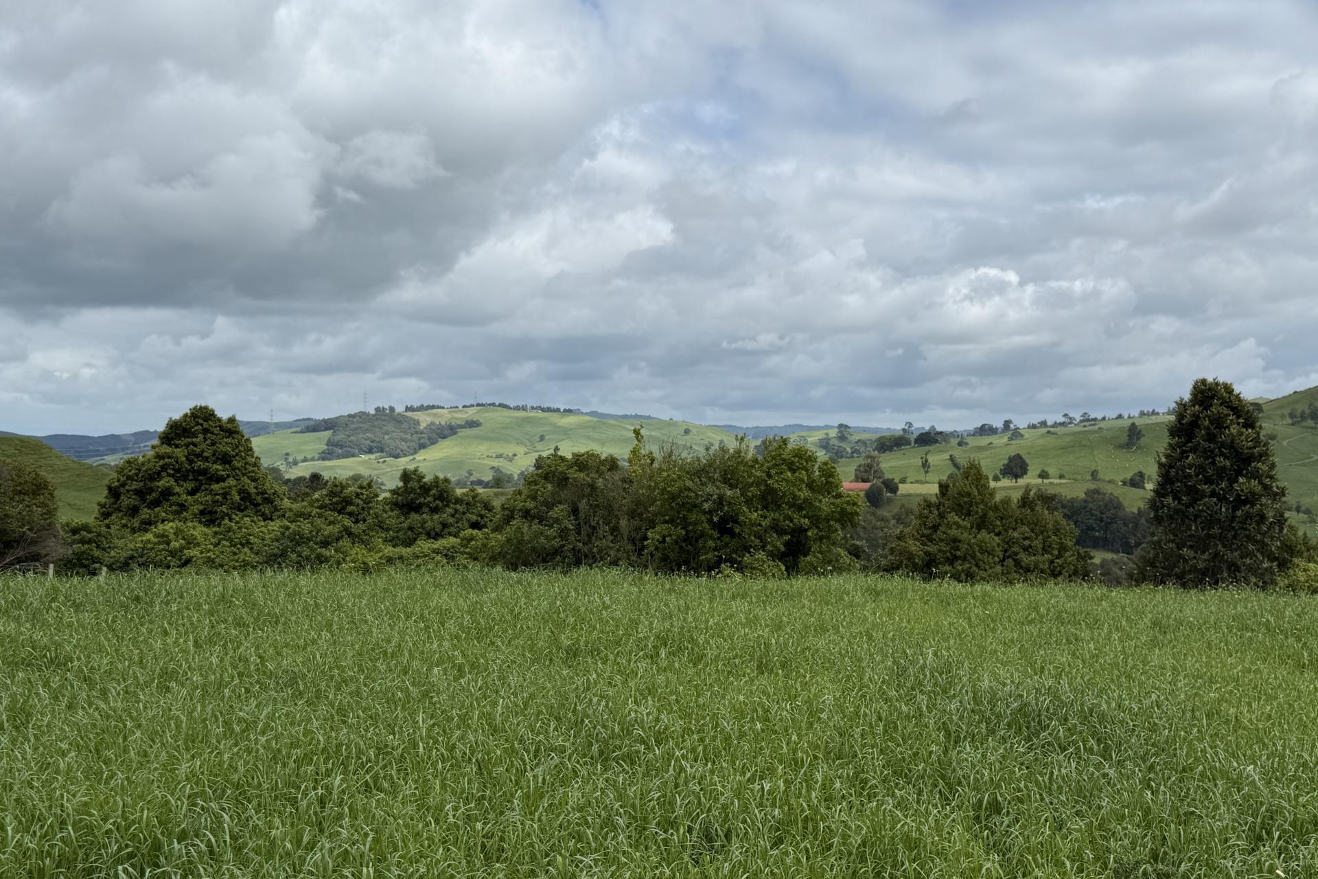 Taotaoroa Road, Karapiro