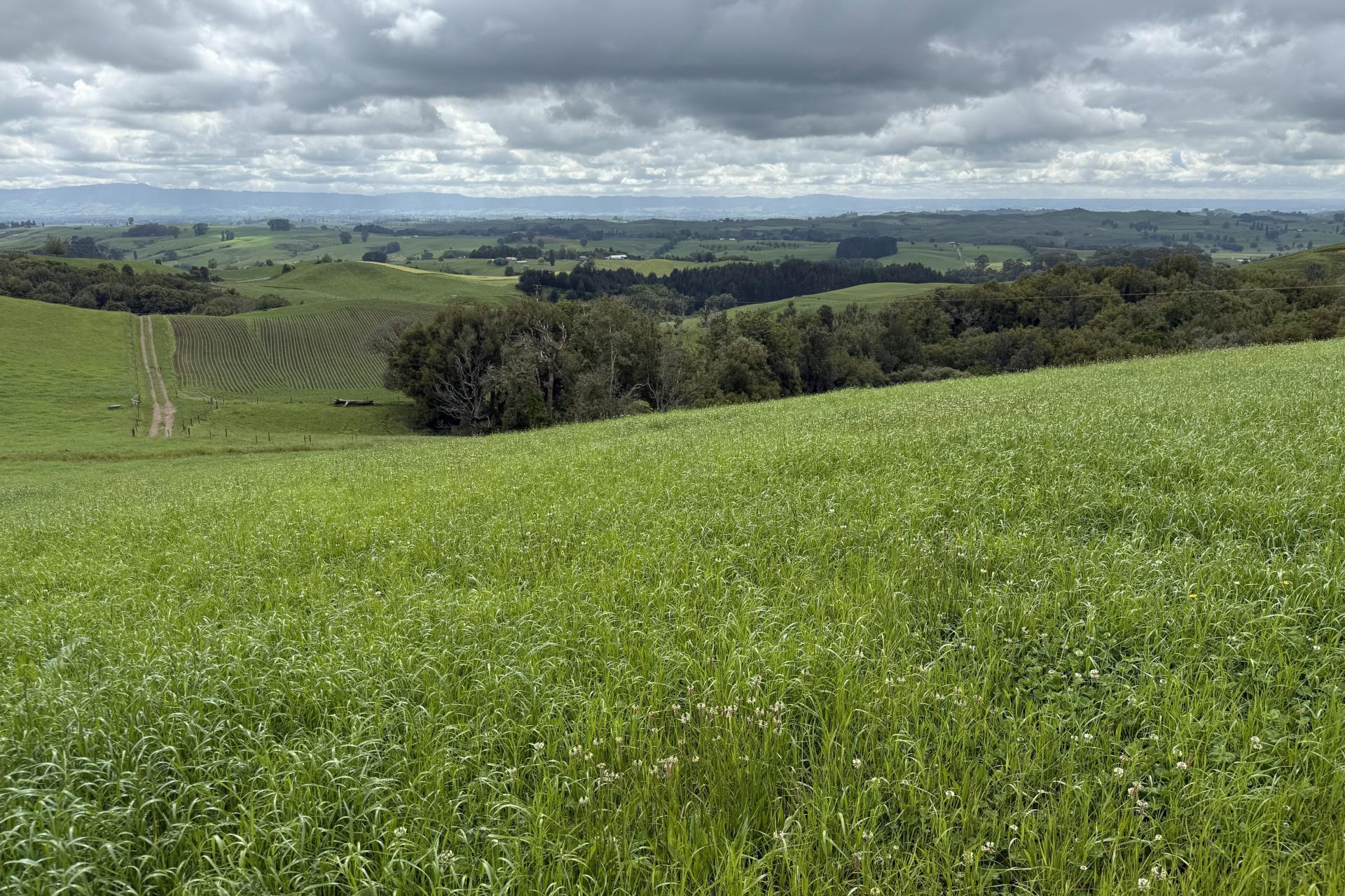 Taotaoroa Road, Karapiro