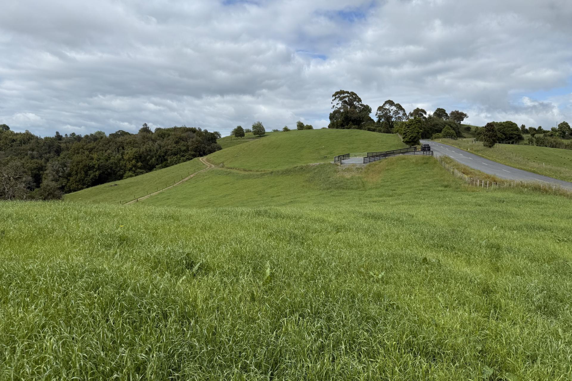 Taotaoroa Road, Karapiro